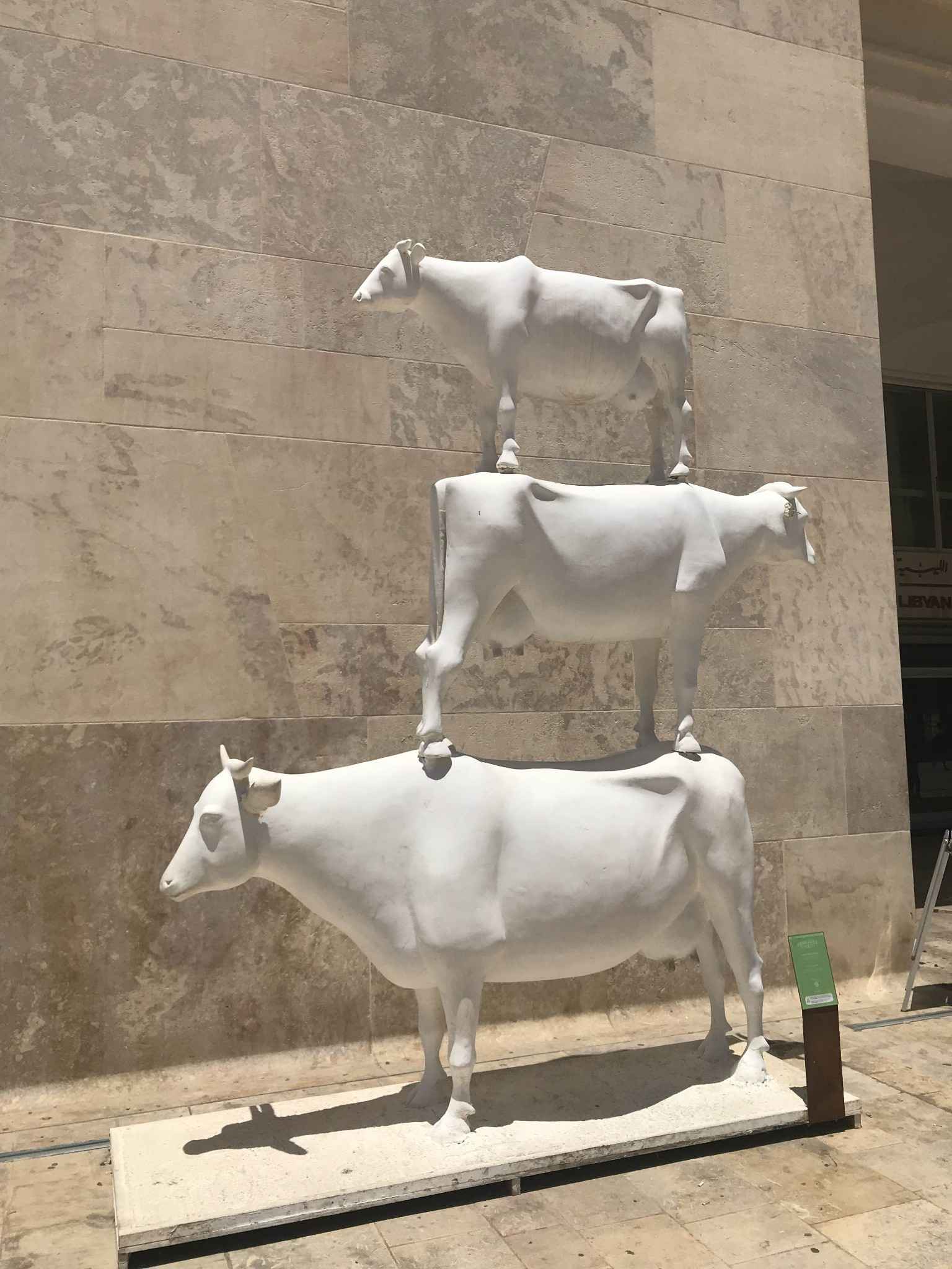 印象马耳他（一）,马耳他旅游攻略