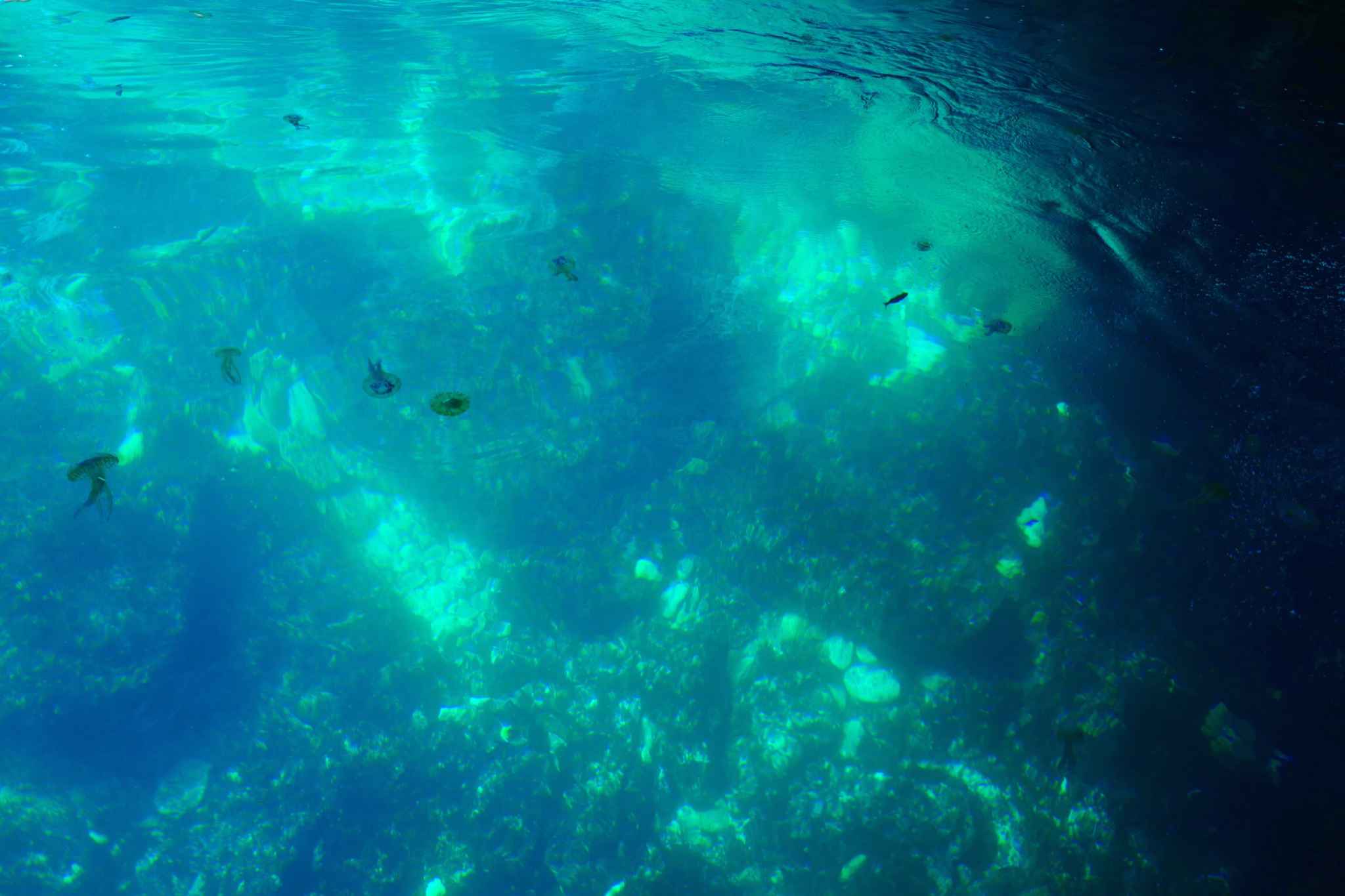 马耳他公共交通一周自由行,马耳他自助游攻略