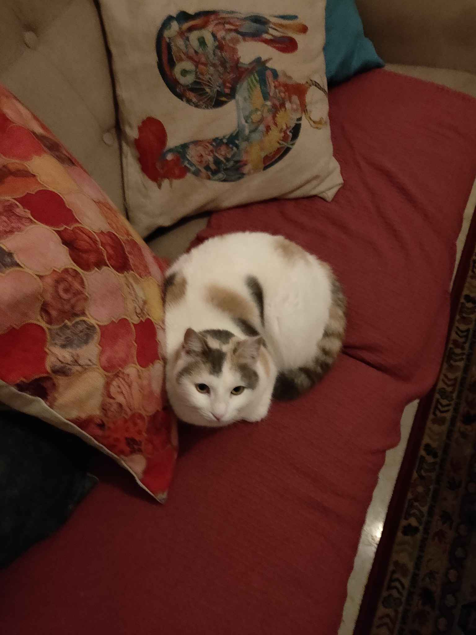 如果天堂不是我想的那样,就把我送回马耳他吧