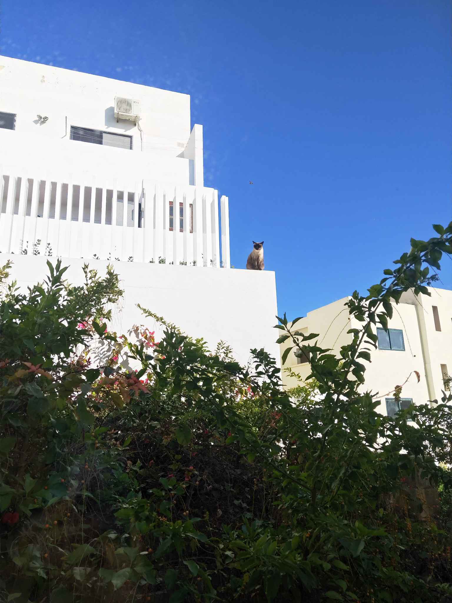 如果天堂不是我想的那样,就把我送回马耳他吧