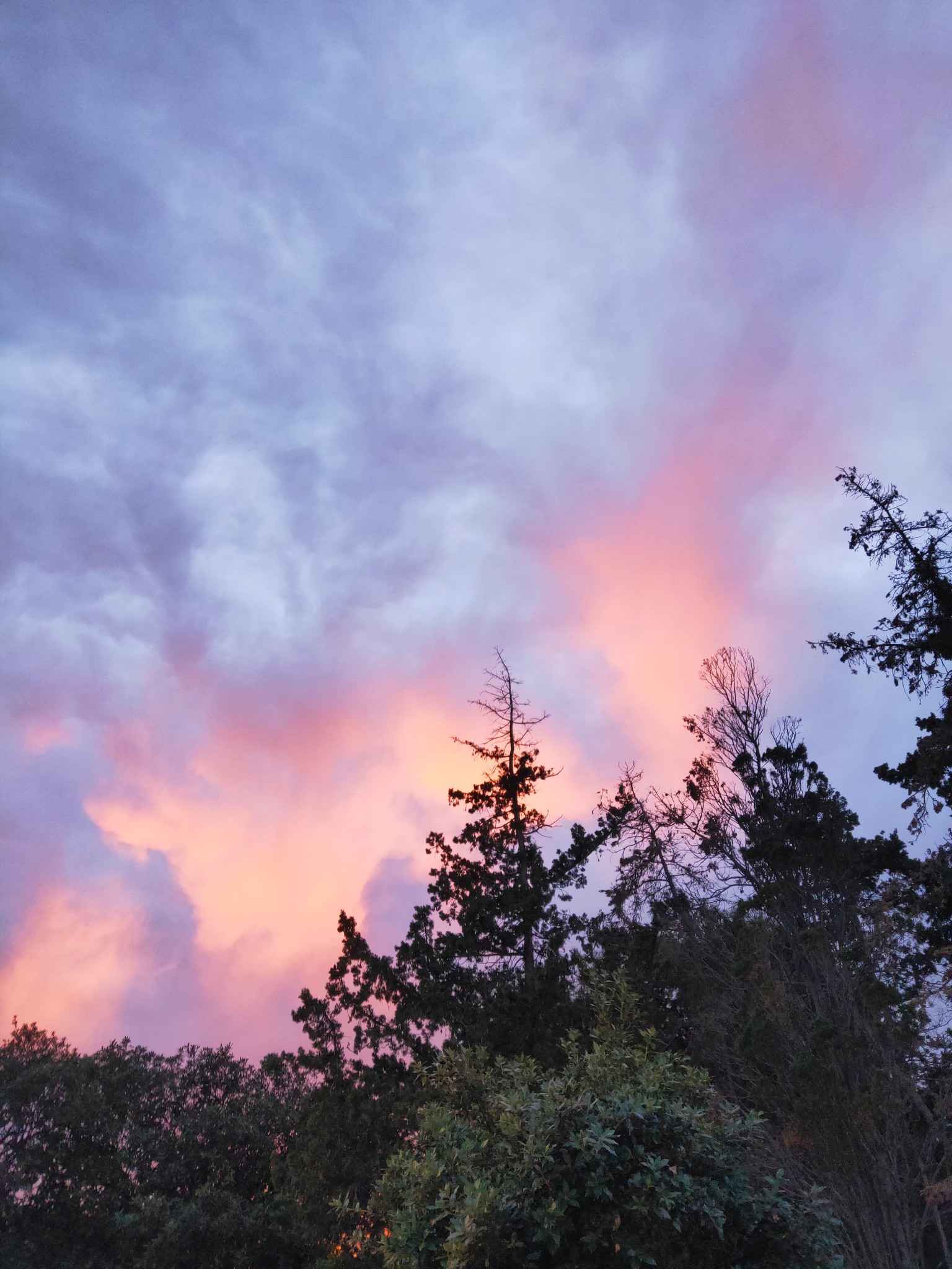 如果天堂不是我想的那样,就把我送回马耳他吧