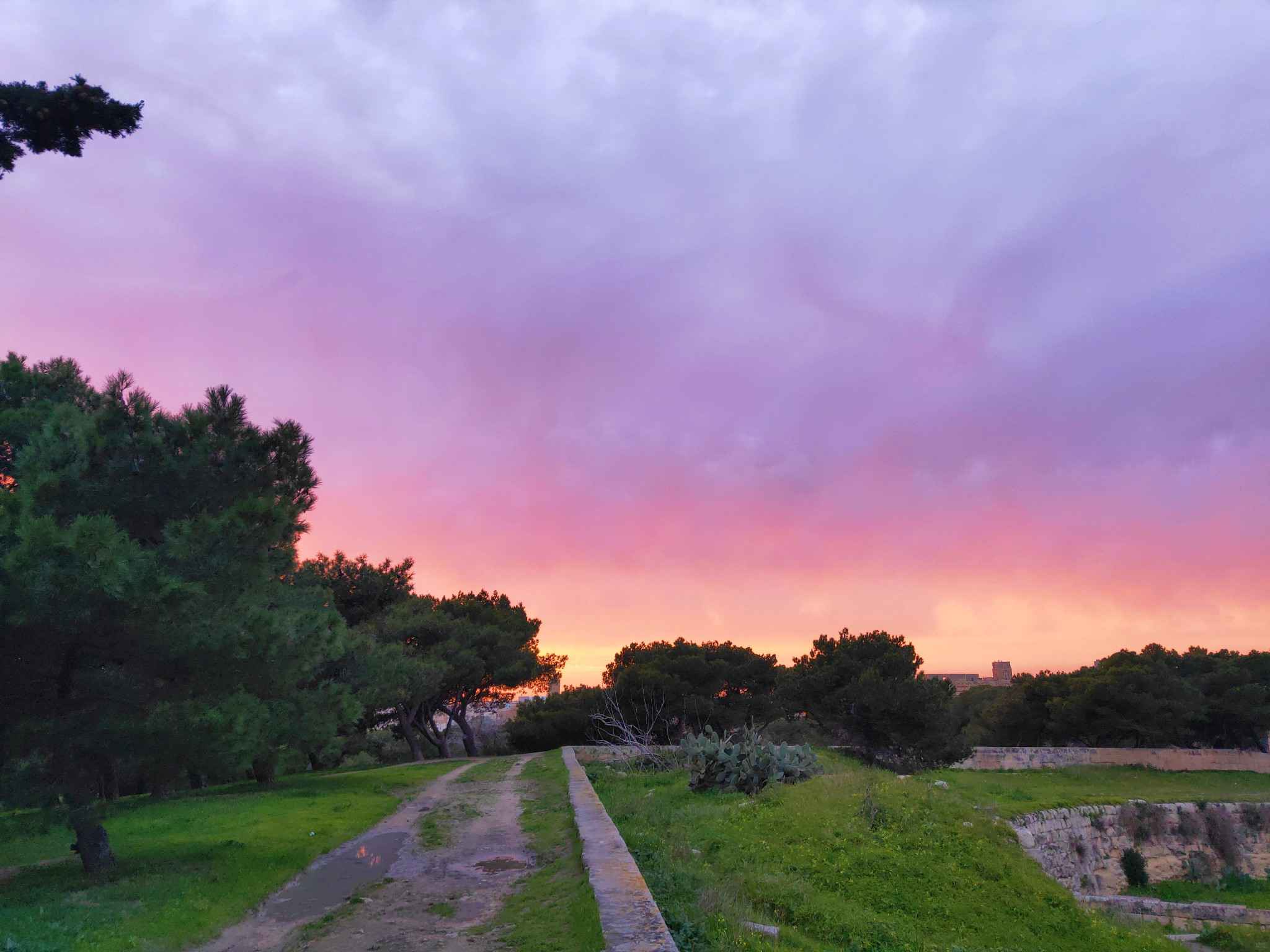 如果天堂不是我想的那样,就把我送回马耳他吧