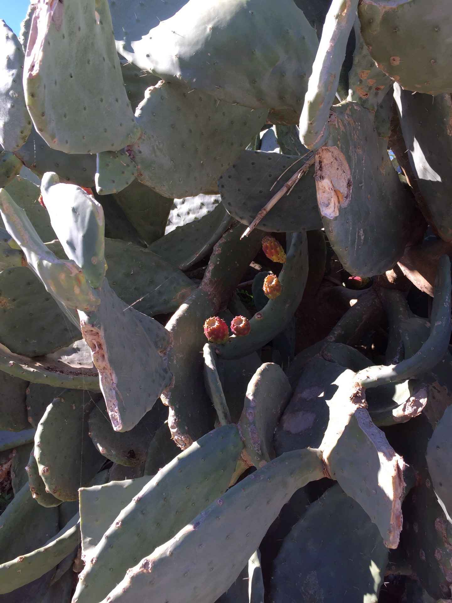 此水蔚蓝 马耳他圣诞七日谈 七,马耳他旅游攻略