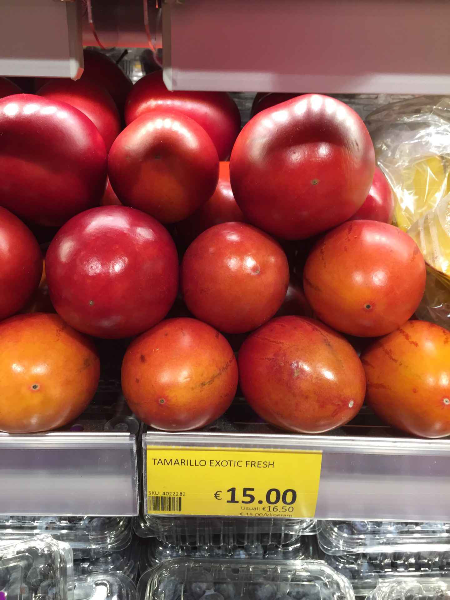 此水蔚蓝 马耳他圣诞七日谈 六,马耳他自助游攻