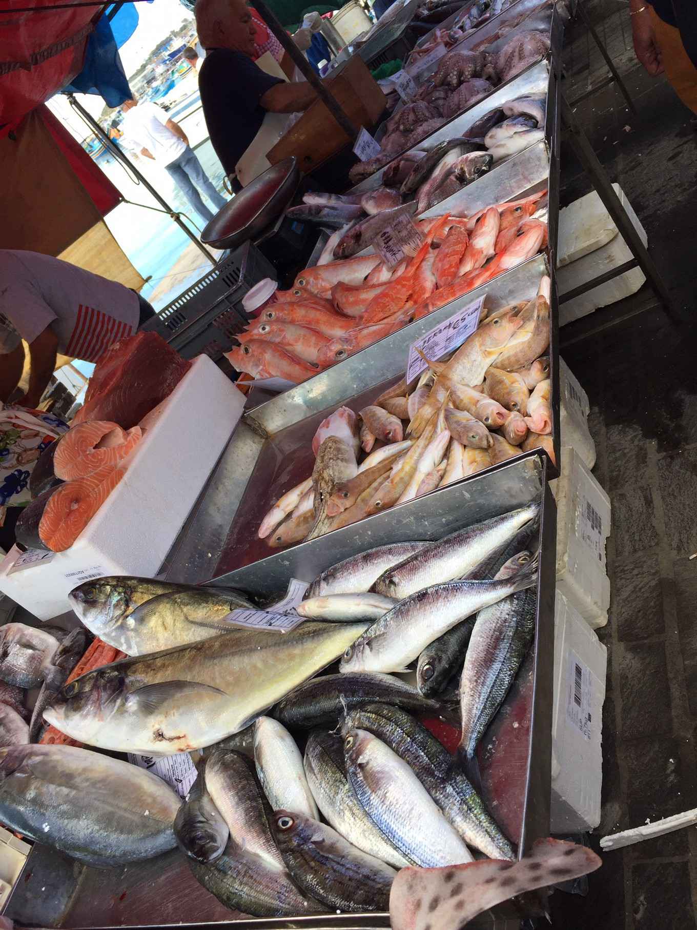 马耳他主岛,马耳他旅游攻略