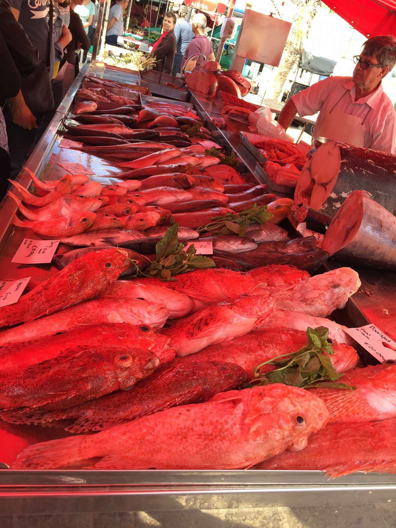 马耳他主岛,马耳他旅游攻略