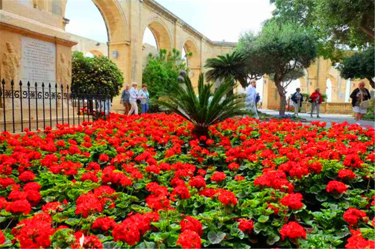 站在瓦莱塔的至高点,观马耳他城市风景,马耳他