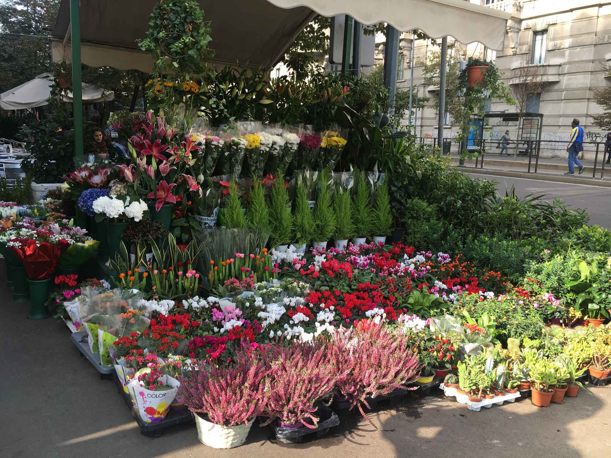 意大利马耳他13天蜜月之旅,马耳他旅游攻略