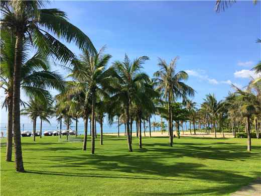  减税降费助推海南旅游业发展