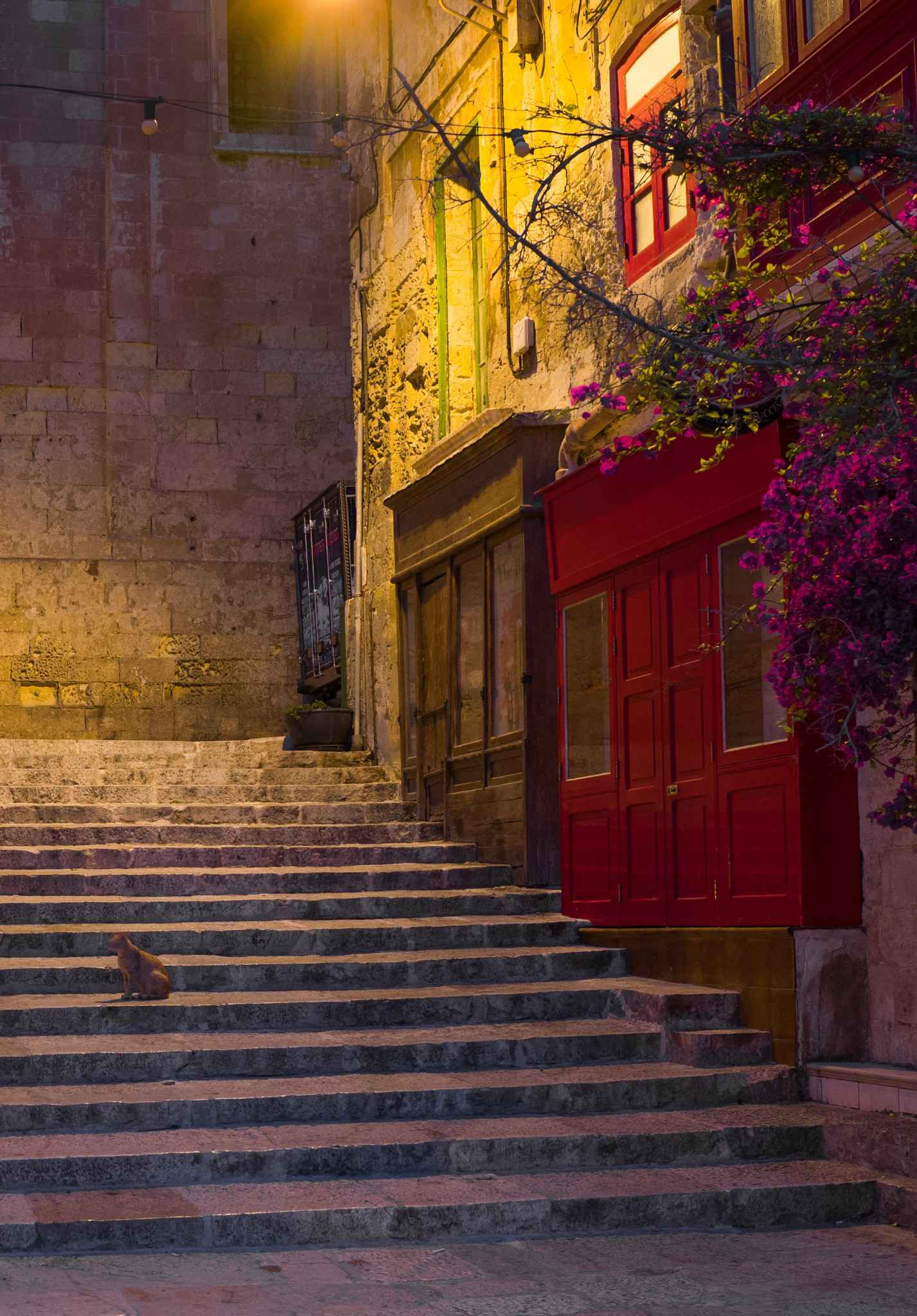 到马耳他去，寻找父母当年的足迹,马耳他自助游