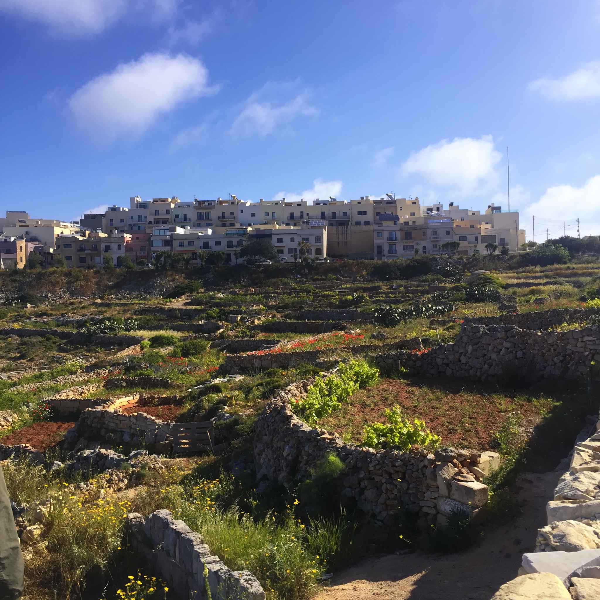 马耳他自驾游,马耳他自助游攻略