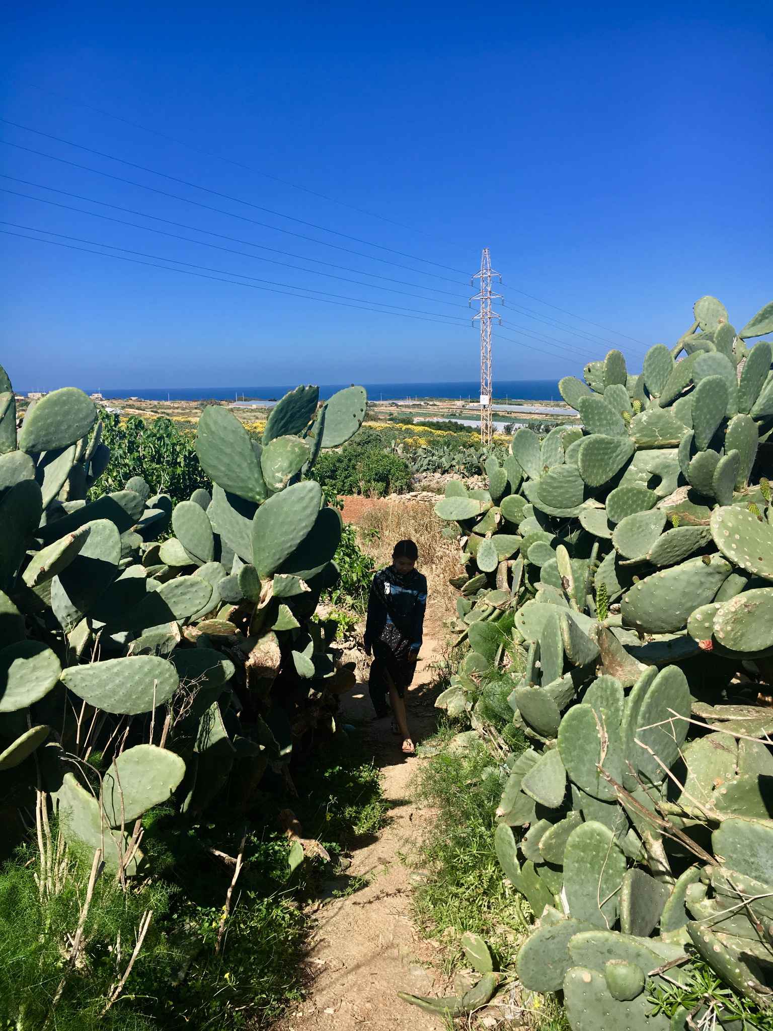 马耳他自驾游,马耳他自助游攻略