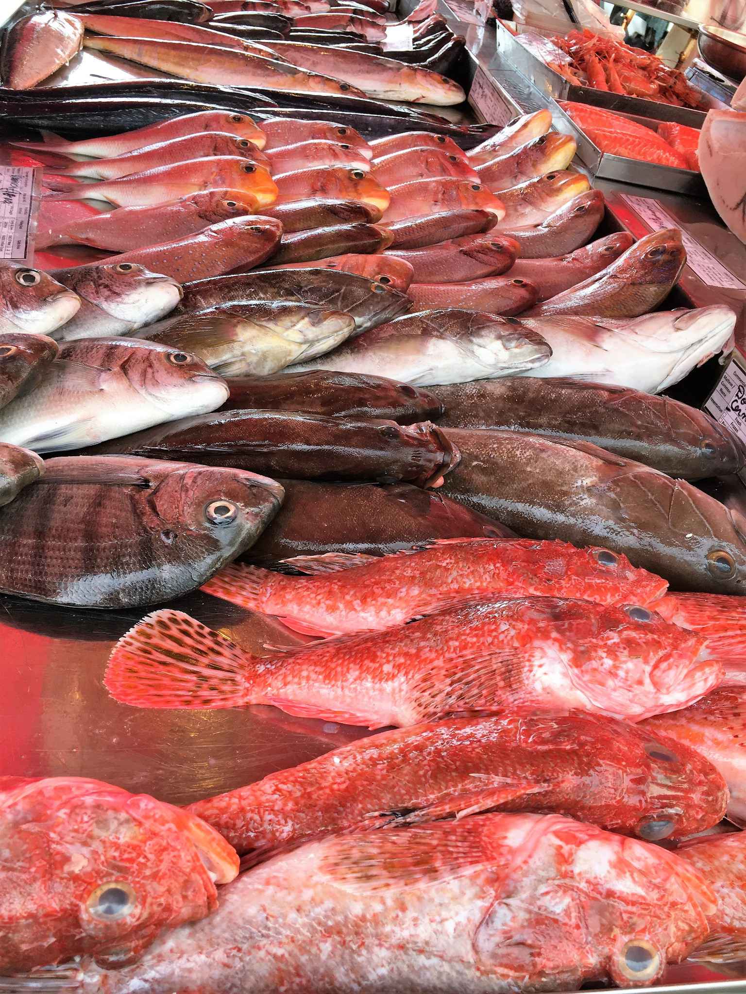 为你打CALL,马耳他自助游攻略