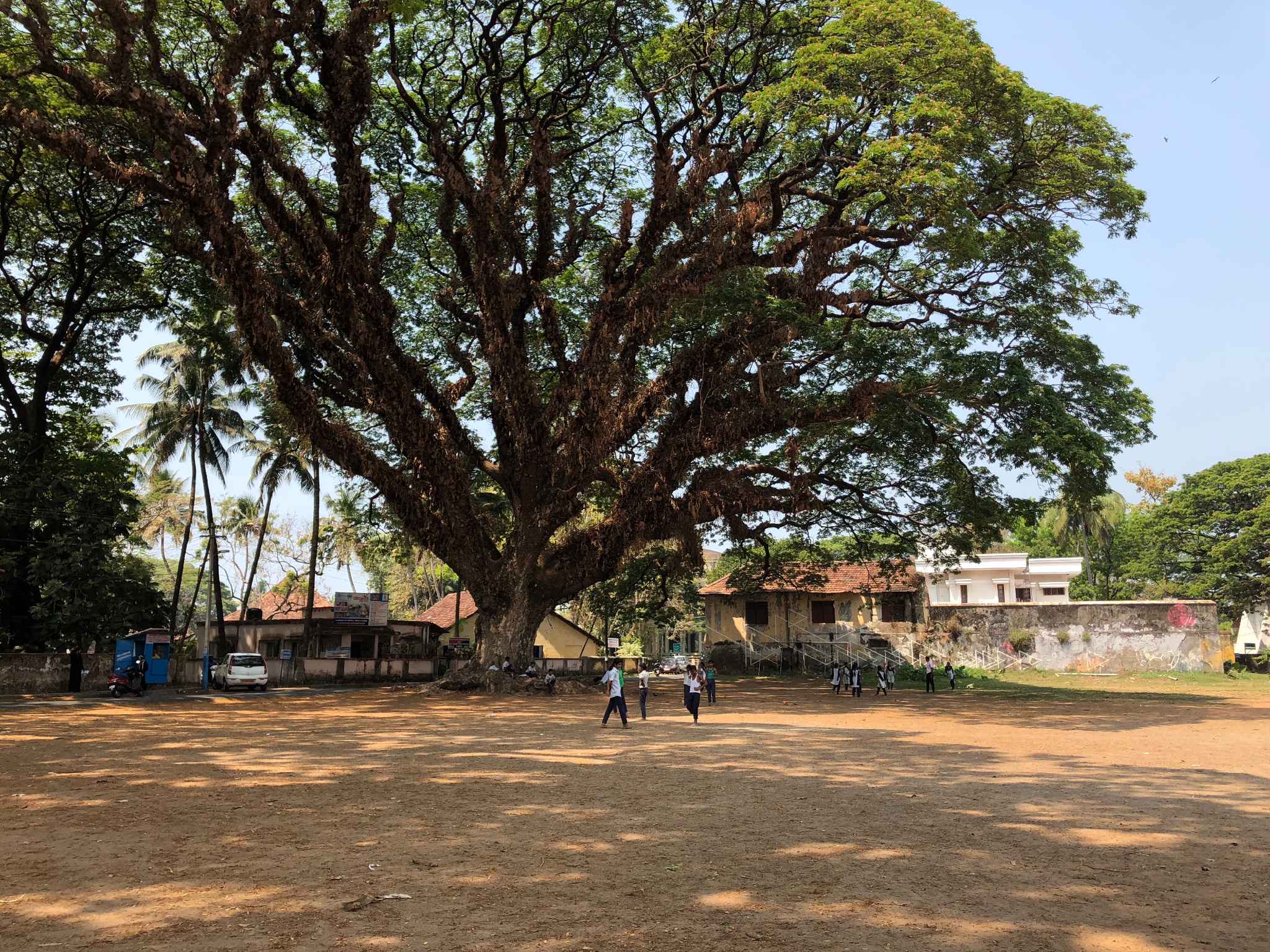 懒人漫游科钦记,马耳他自助游攻略