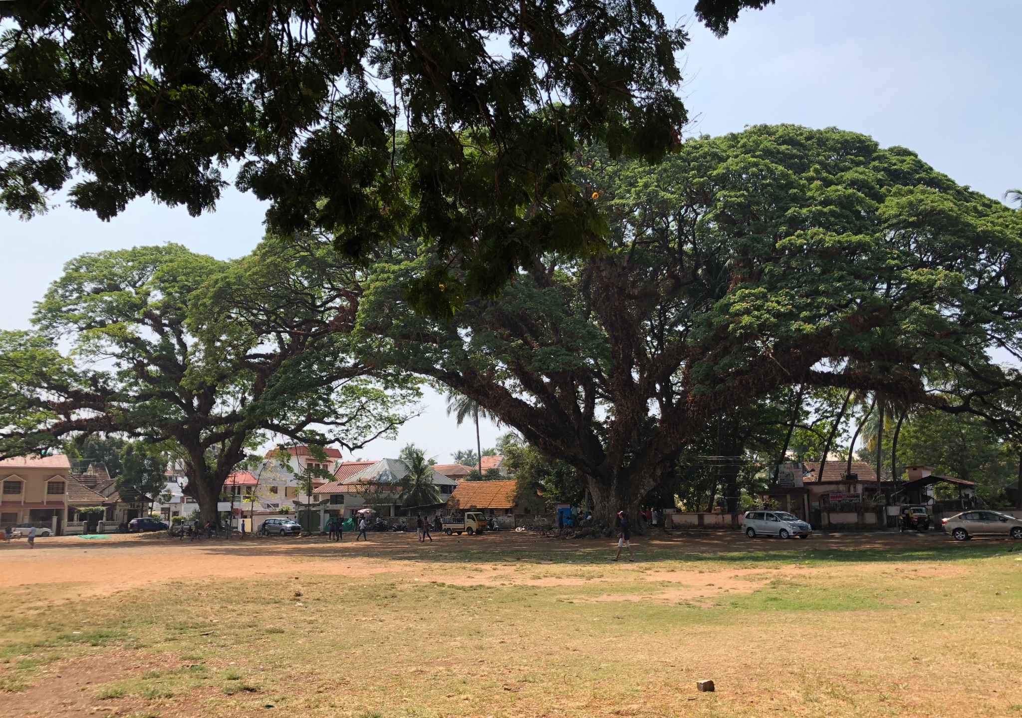 懒人漫游科钦记,马耳他自助游攻略