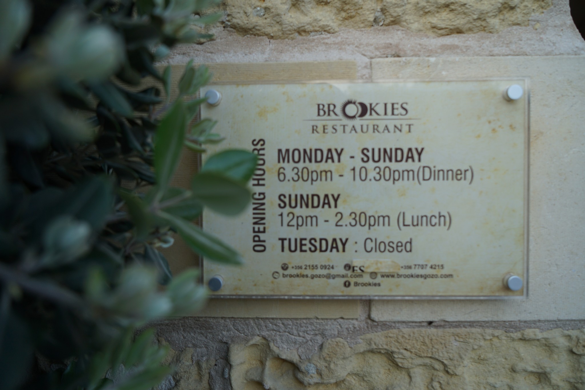 资深吃货的马耳他觅食日记,马耳他自助游攻略