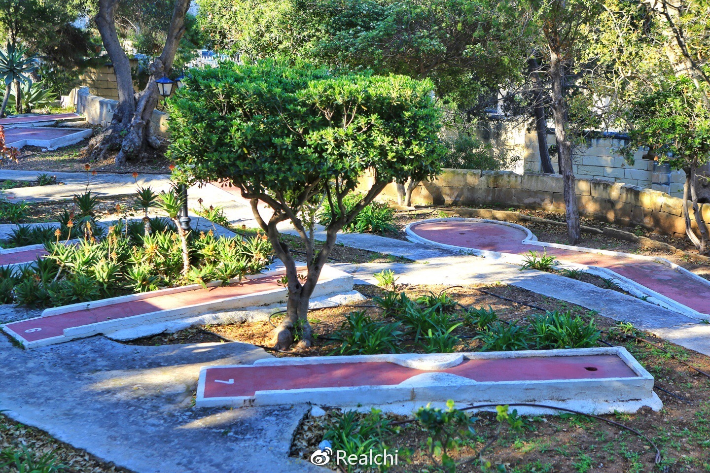 地中海明珠马耳他,让人置身于天堂,《权力的