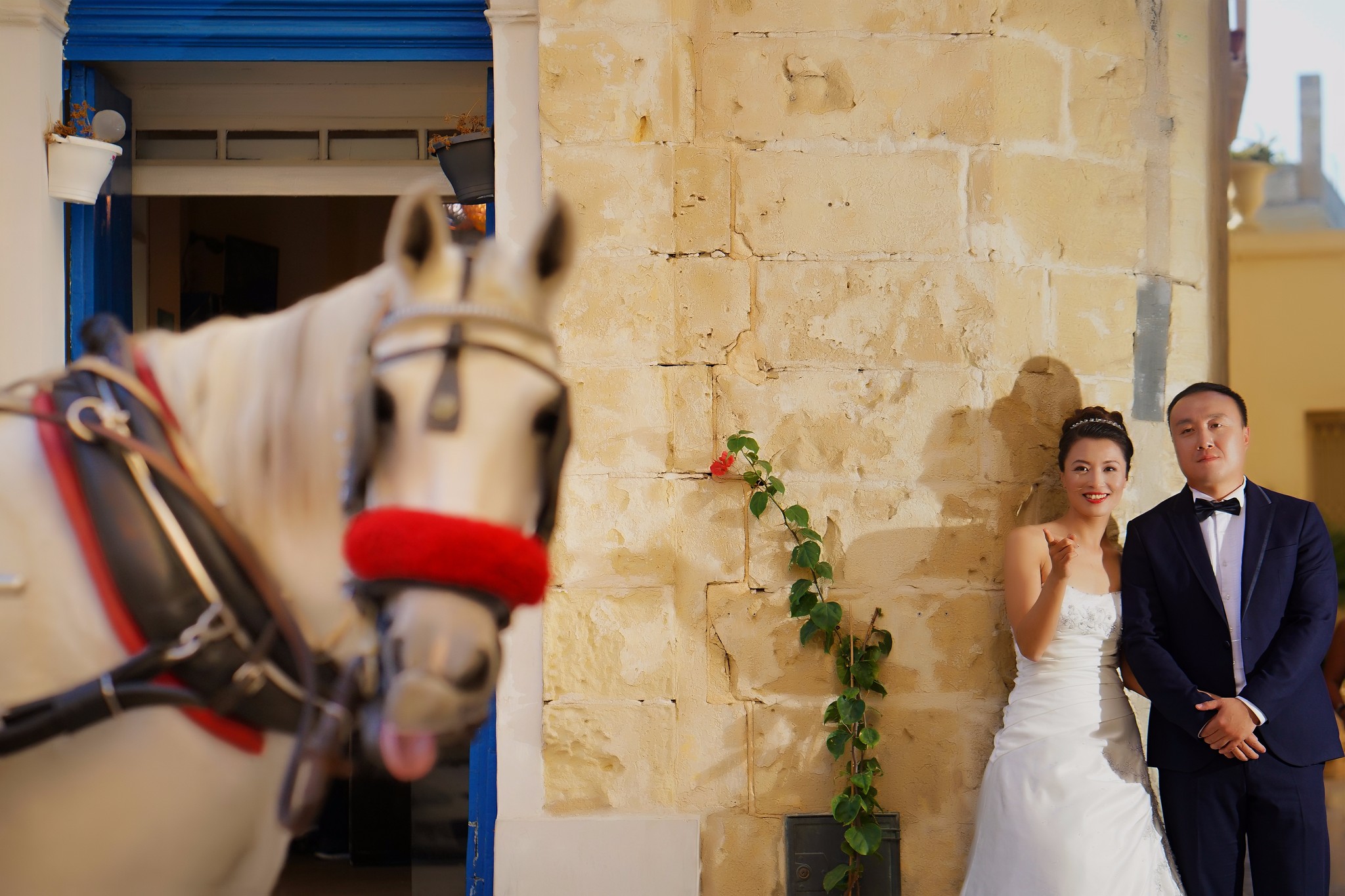 在骑士的国度拍婚纱照,马耳他旅游攻略