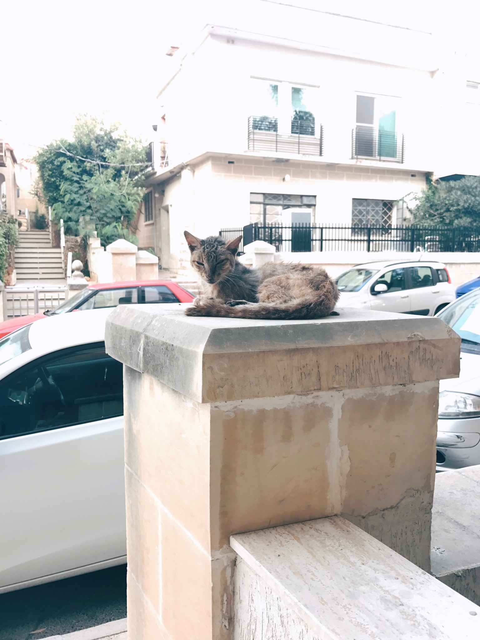 马耳他的喵儿,马耳他旅游攻略