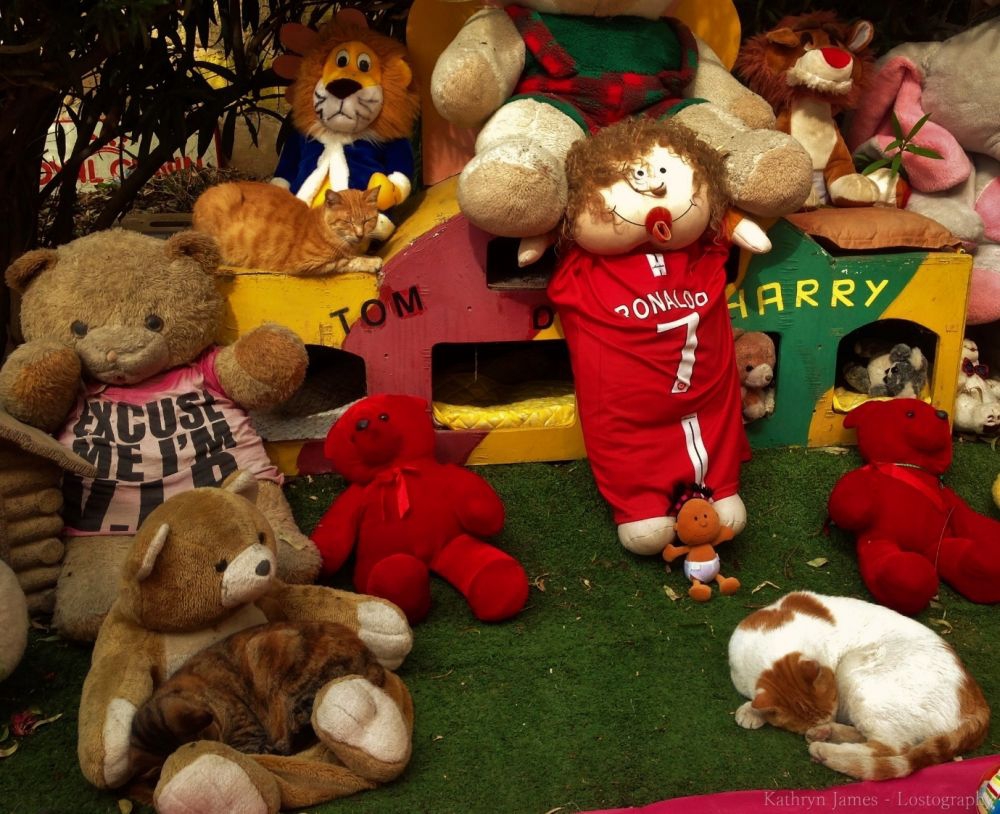 马耳他的喵儿,马耳他旅游攻略