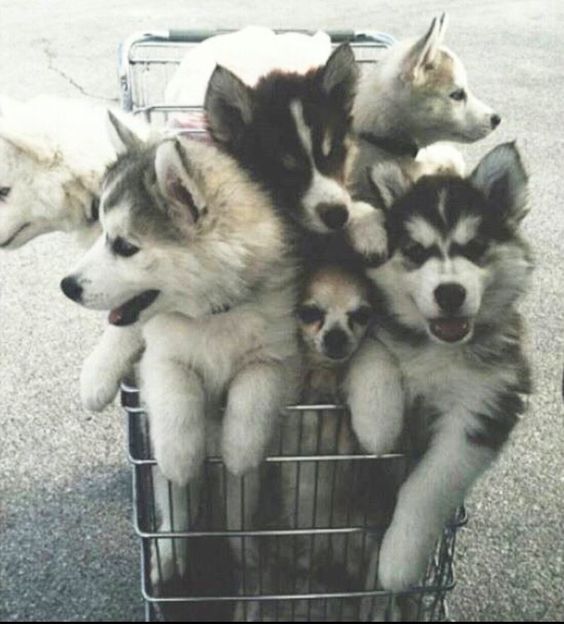 我在马耳他语言学校遇到的那些坑,马耳他自助游