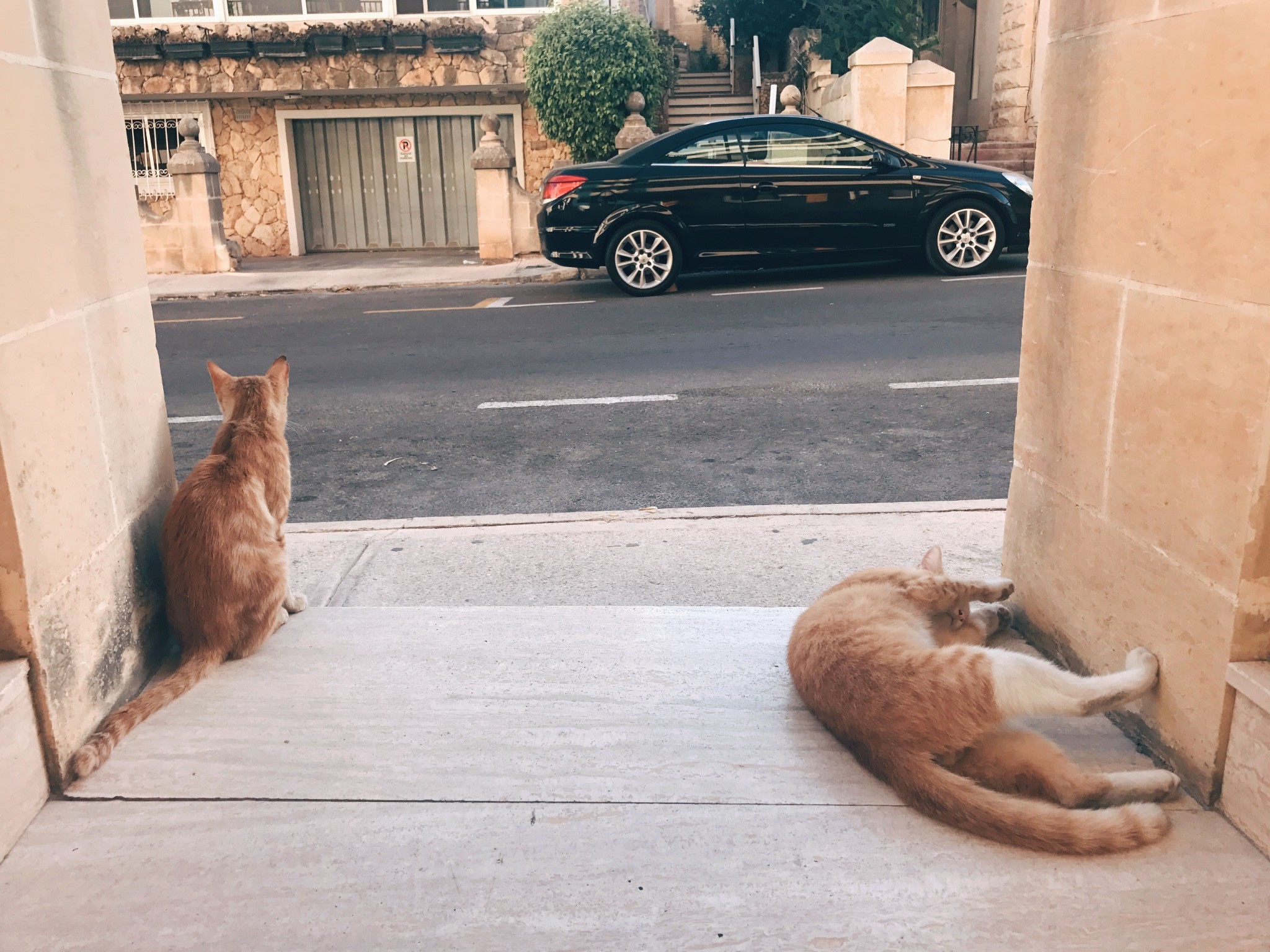 我在马耳他语言学校遇到的那些坑,马耳他自助游