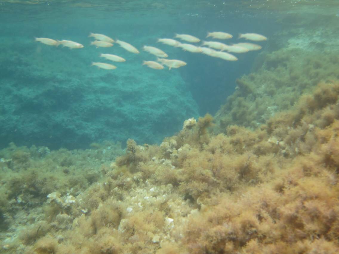 蓝色与灰色的交融,马耳他自助游攻略