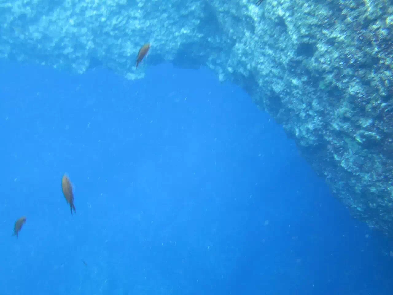 蓝色与灰色的交融,马耳他自助游攻略