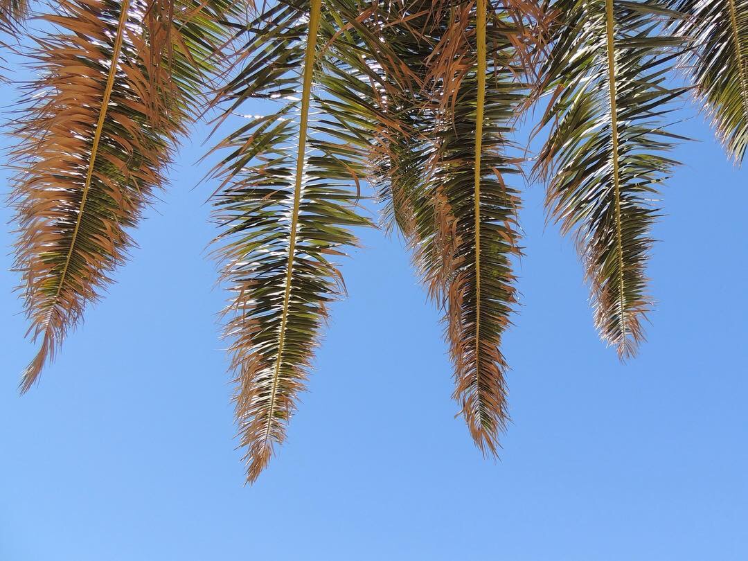 地中海岛国深度游,马耳他自助游攻略