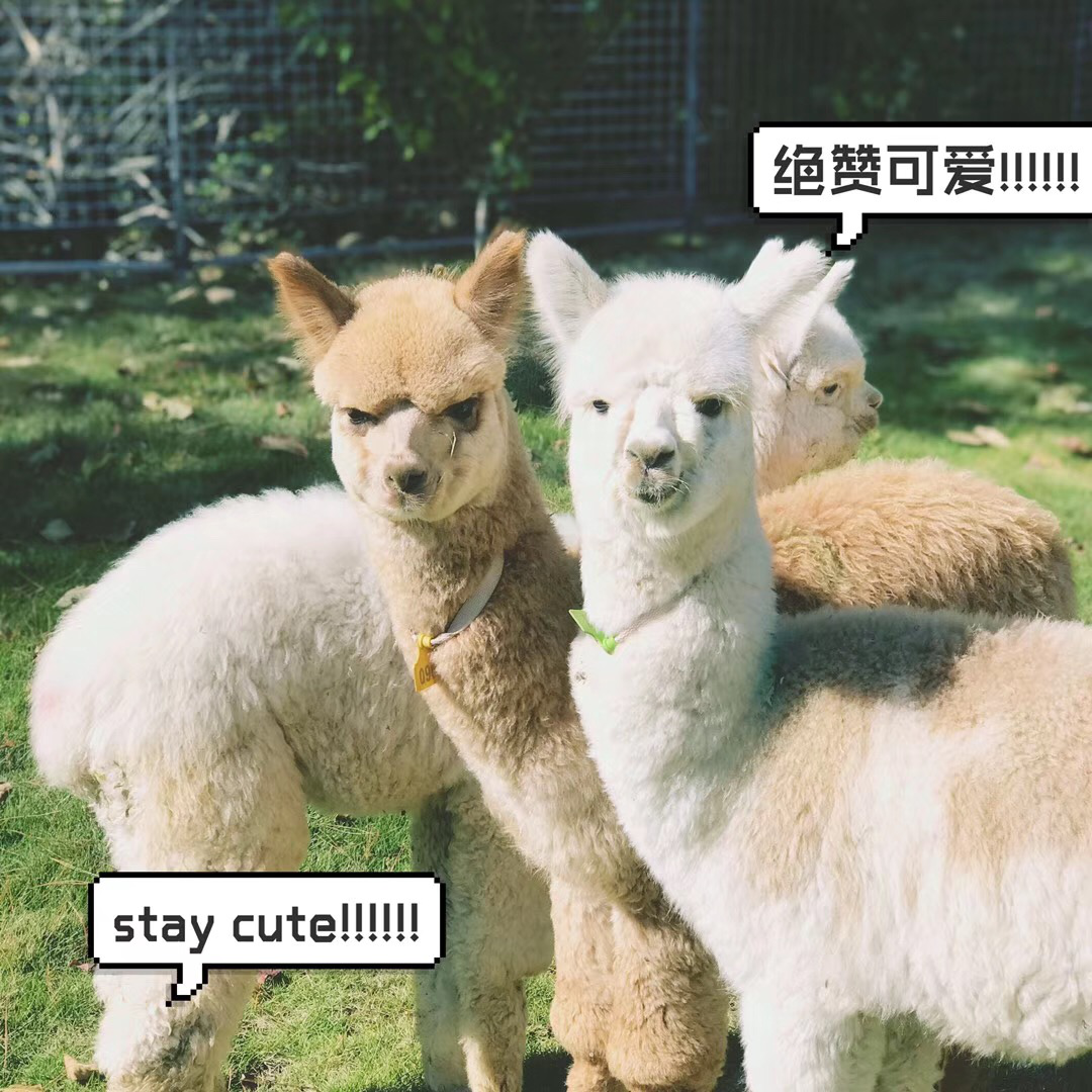 图片9.png