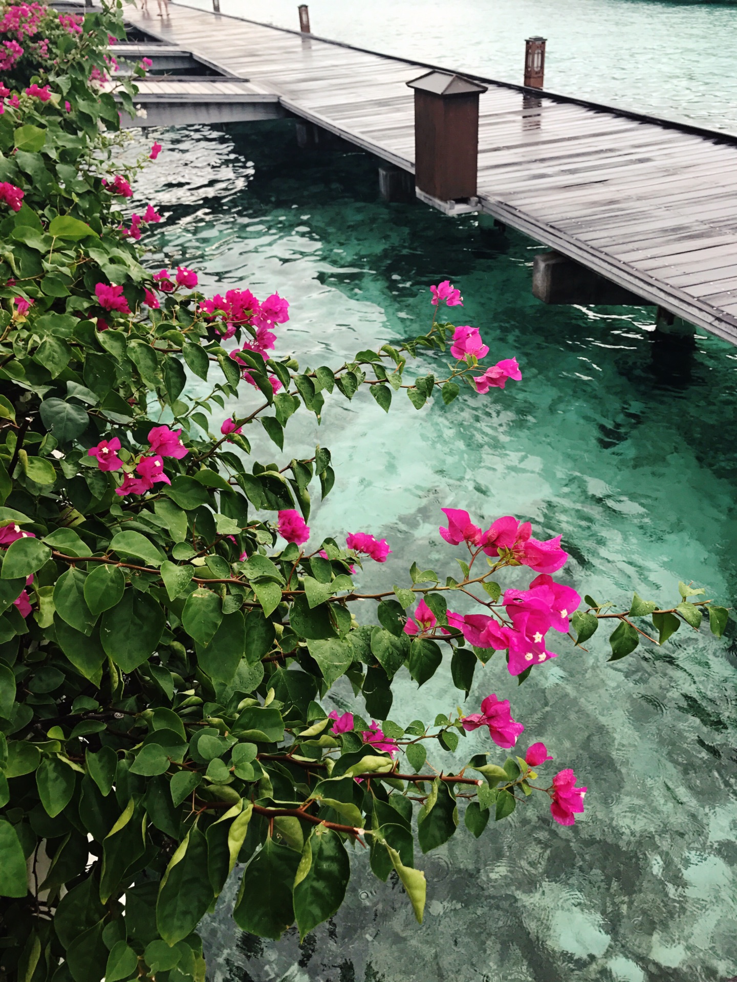 请把自己的身体扔给马尔代夫吧,马耳他自助游攻