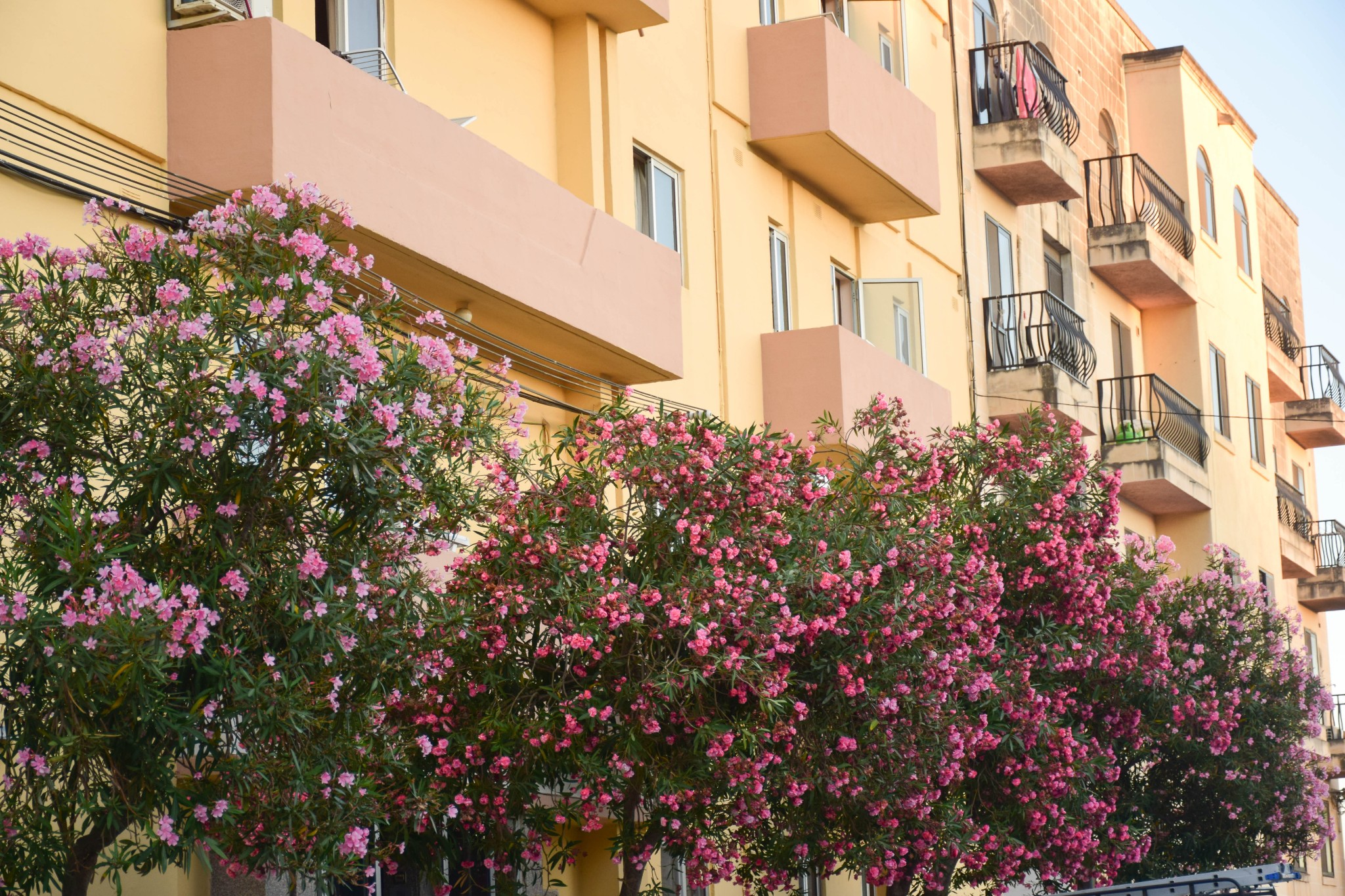 在地中海的风中 遇见蓝色Malta,马耳他旅游攻略