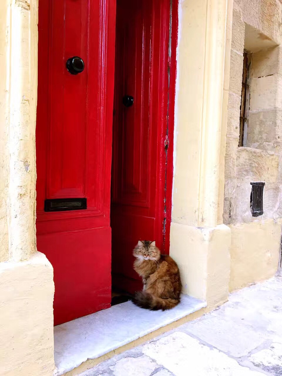 地中海的七丘之城和圣骑士团之旅（从罗马进出