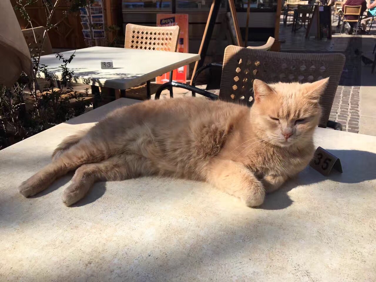 地中海的七丘之城和圣骑士团之旅（从罗马进出