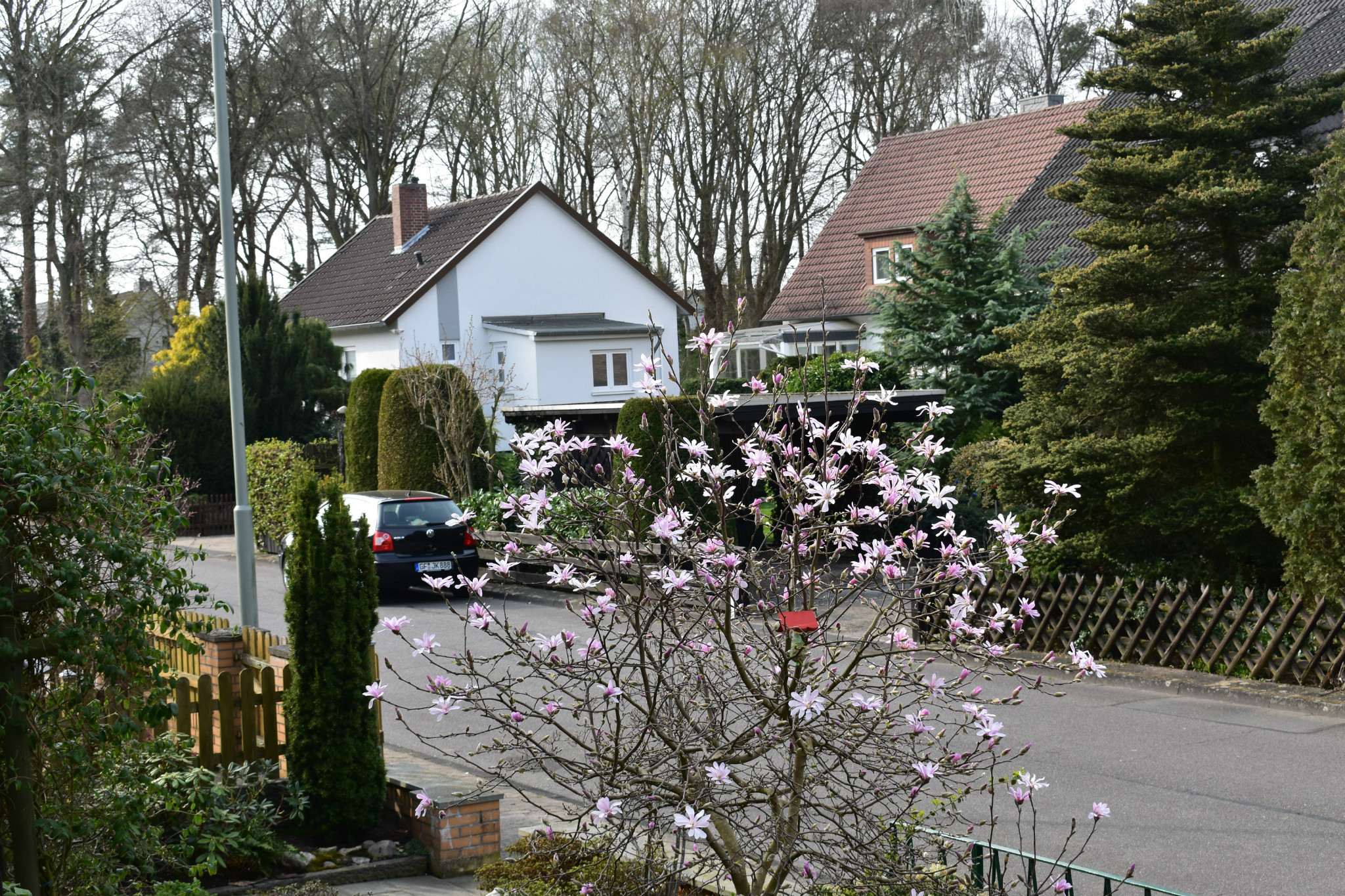 2017年4月黑森林与地中海的私人定制,马耳他旅游