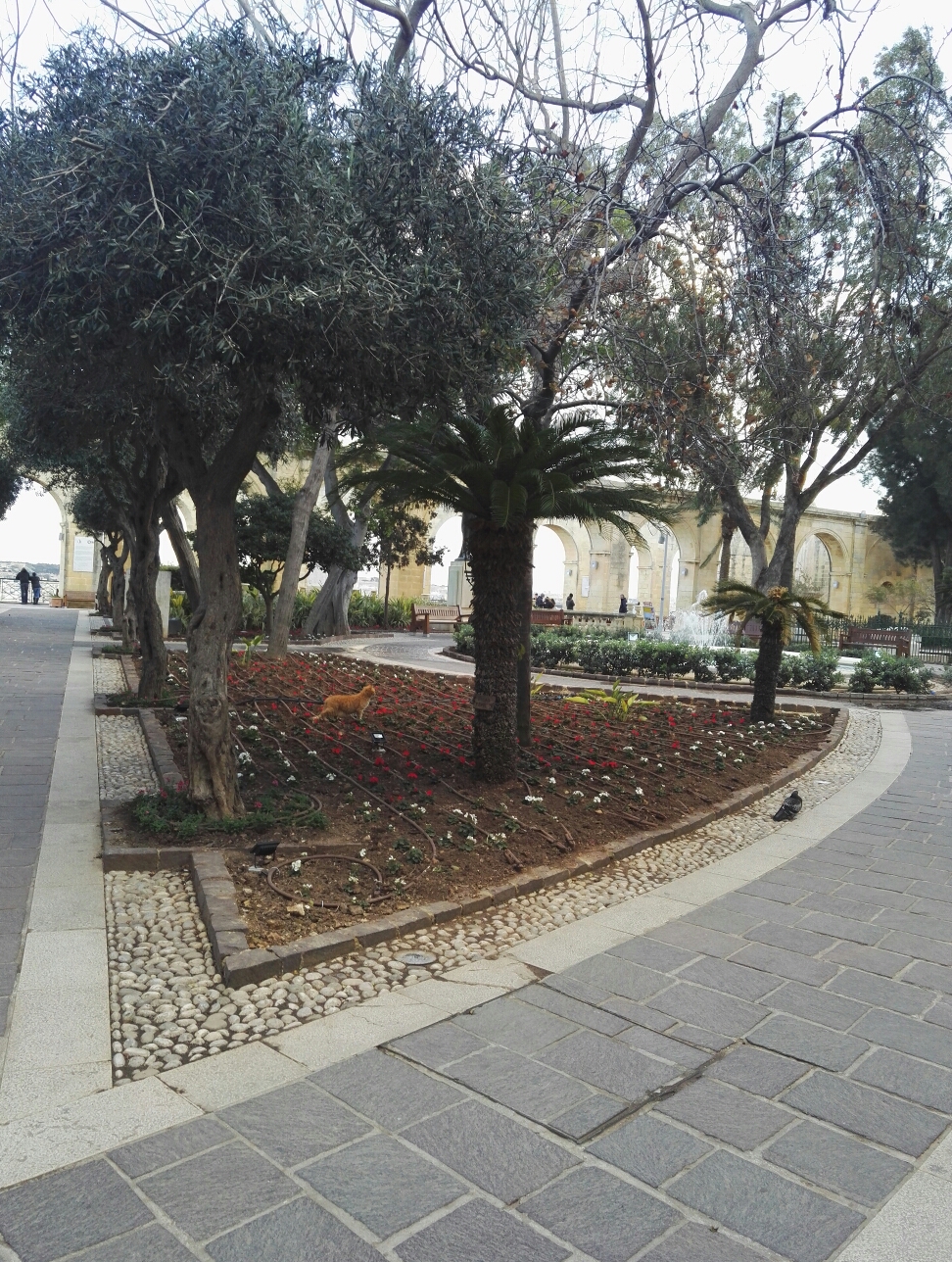 马耳他西西里5日游,马耳他自助游攻略