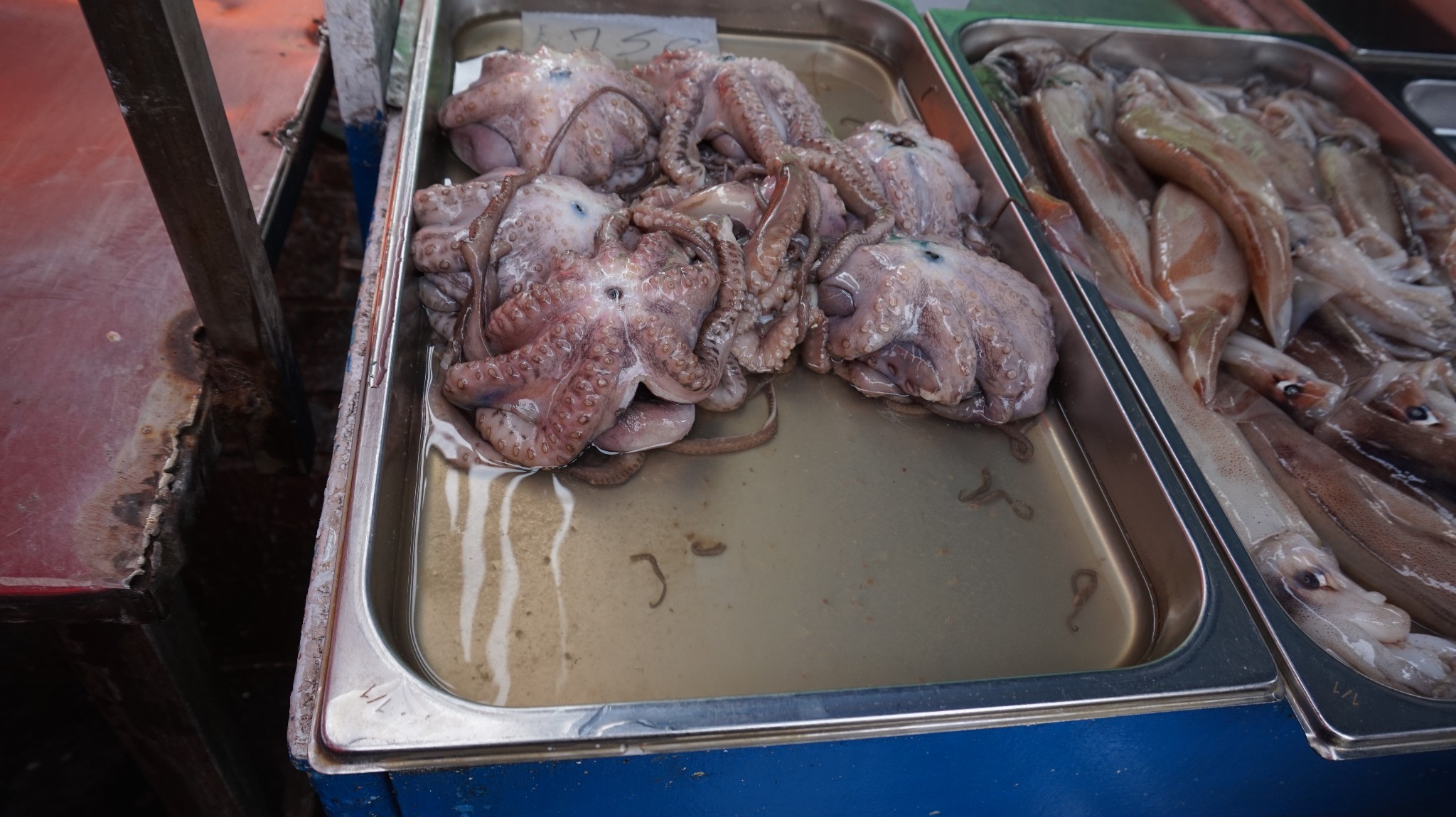 人性的遗迹一初识马耳他,马耳他旅游攻略