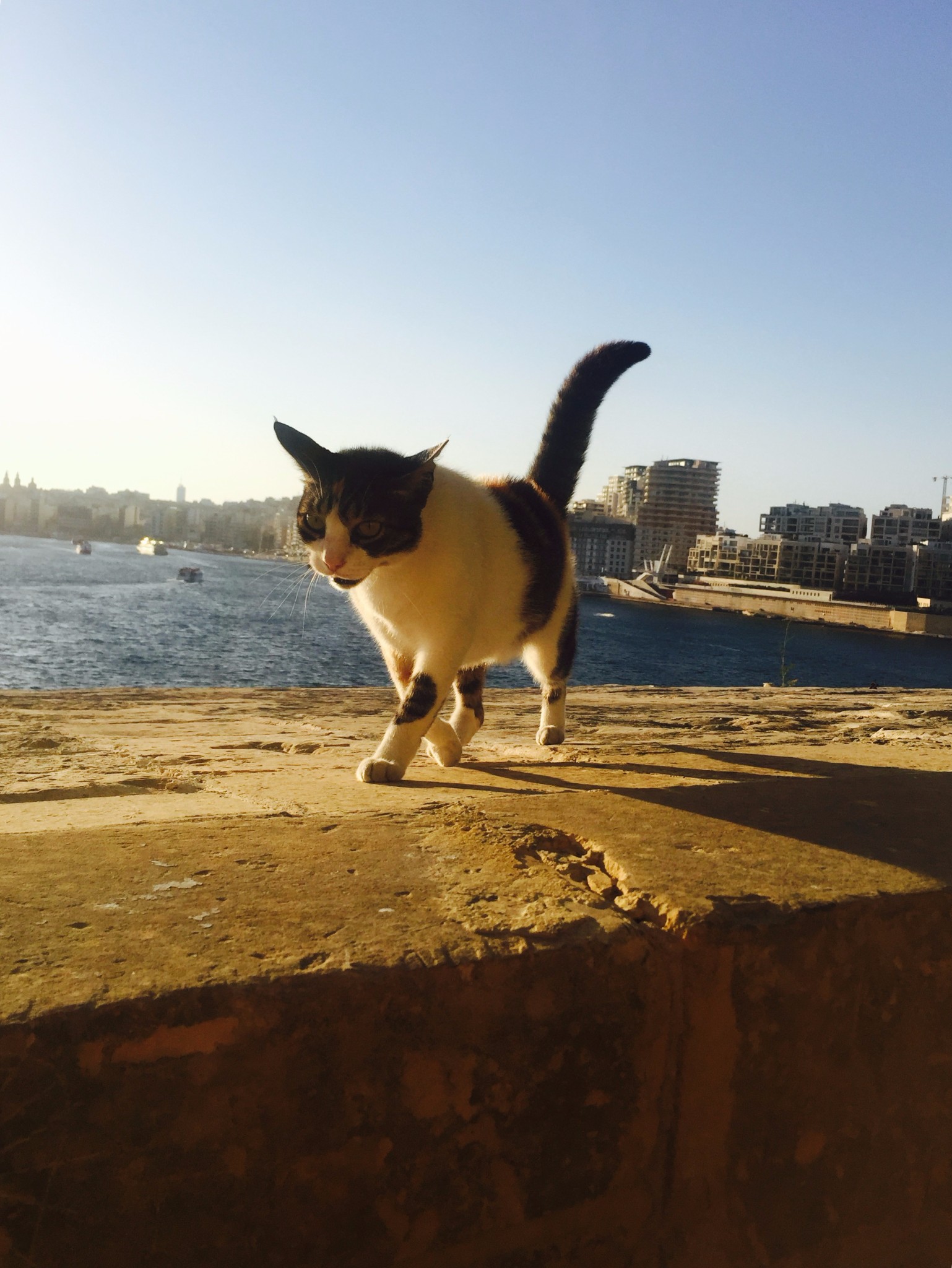 迷失在地中海的蓝色心脏