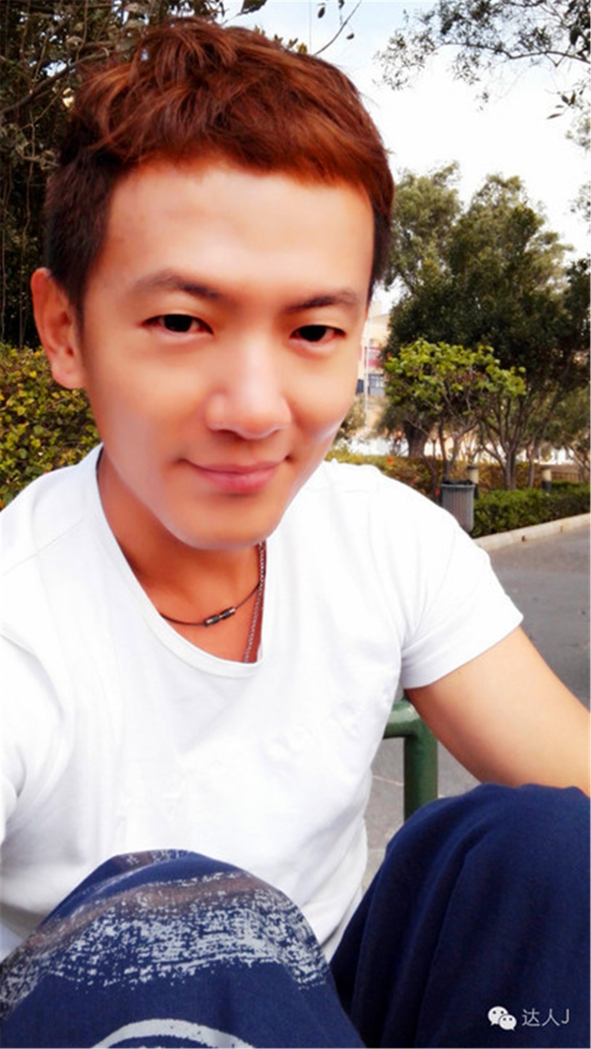 从一只猫的表情说起,观马耳他城市风景,马耳他