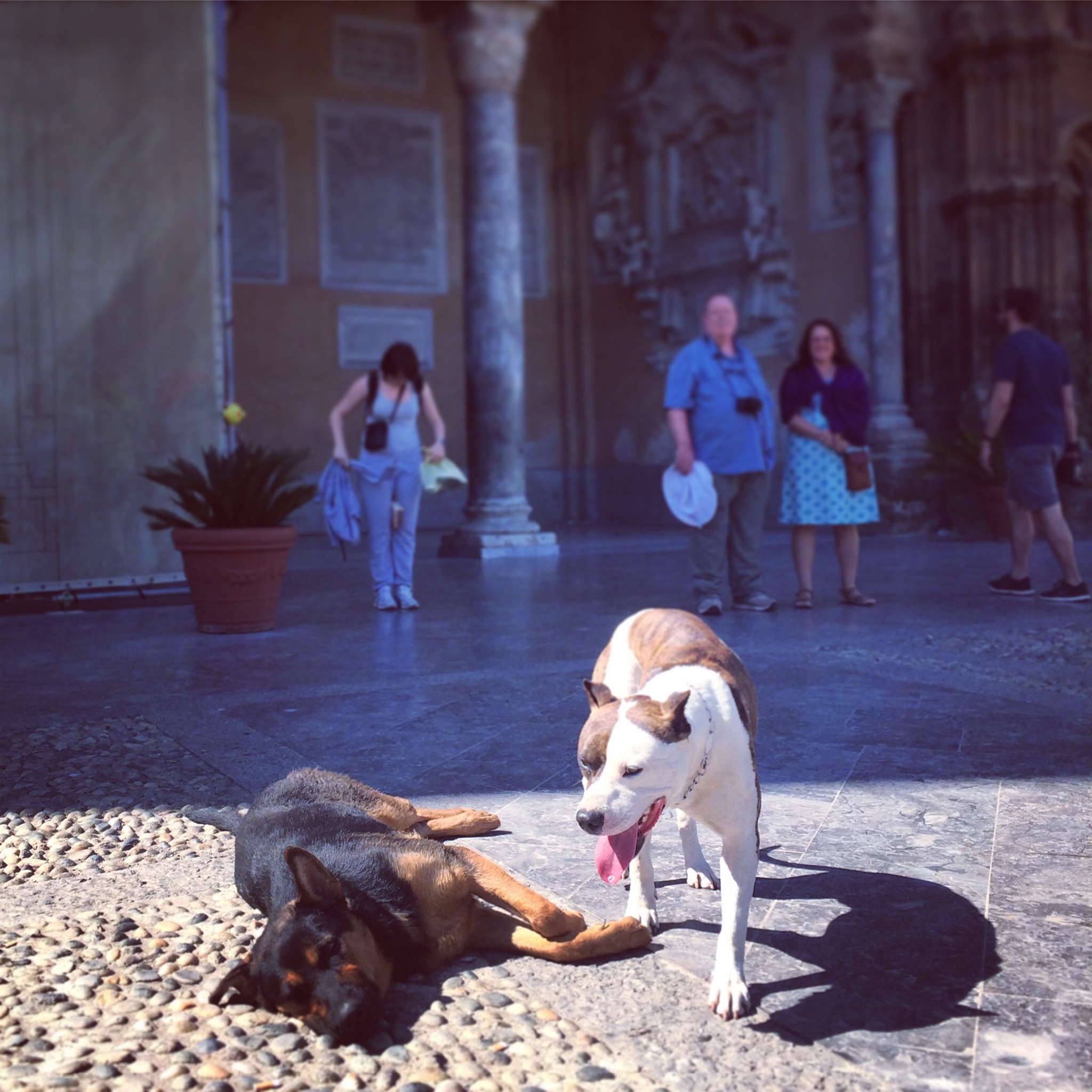 地中海的心脏丨从没有美丽传说的西西里岛到神