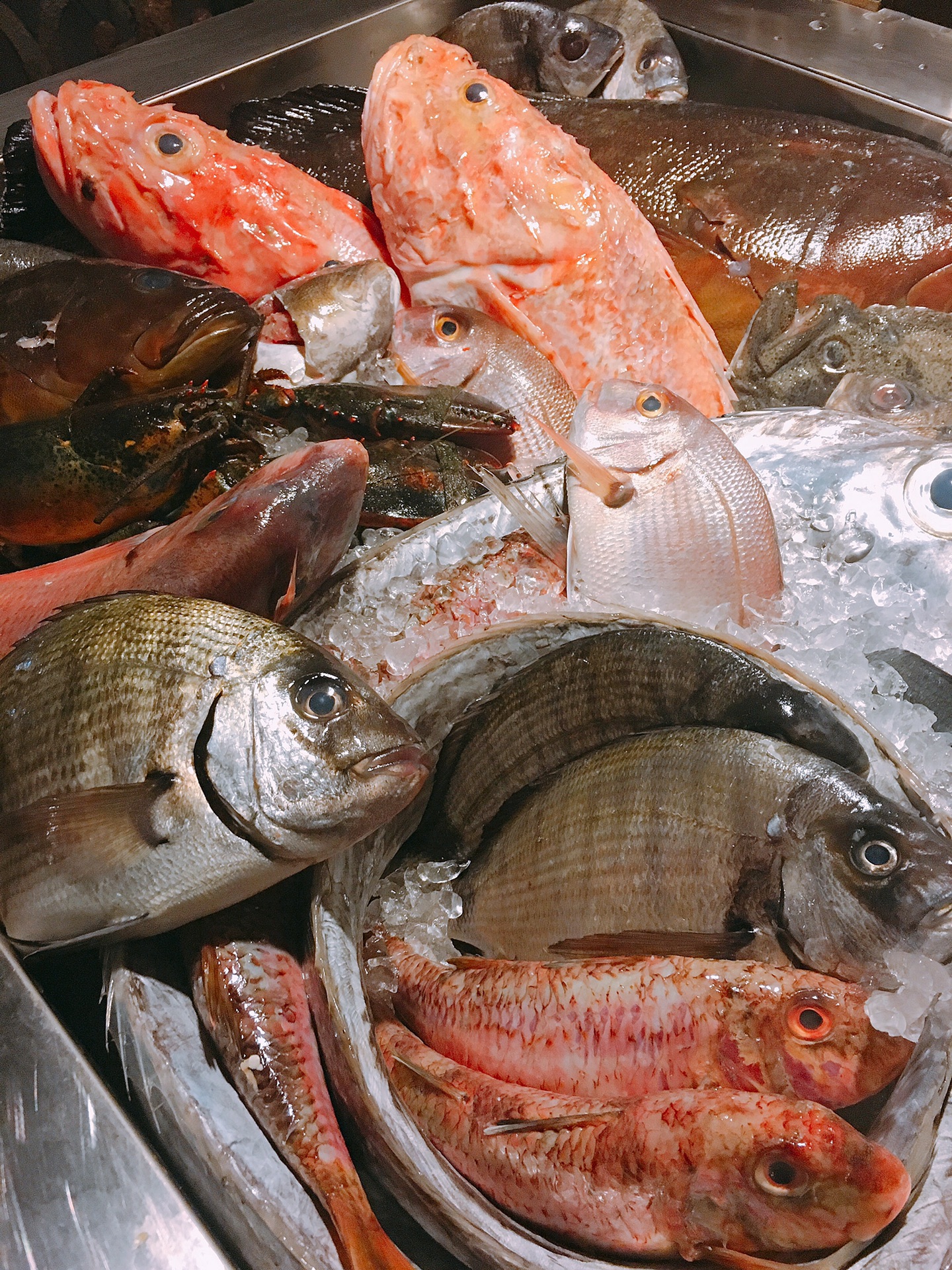 “地中海的心脏”马耳他 2016年10月,马耳他自助游