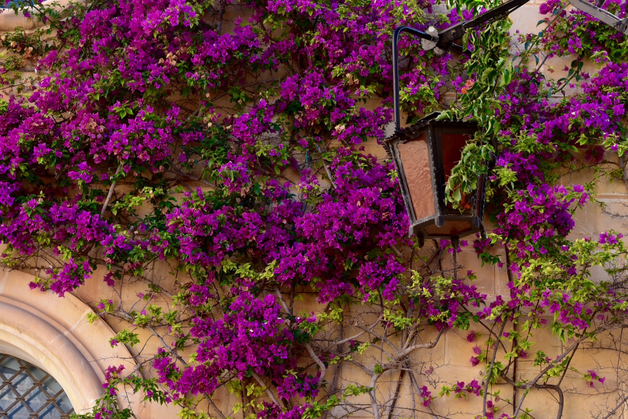 马耳他,地中海上的一粒沙,马耳他旅游攻略