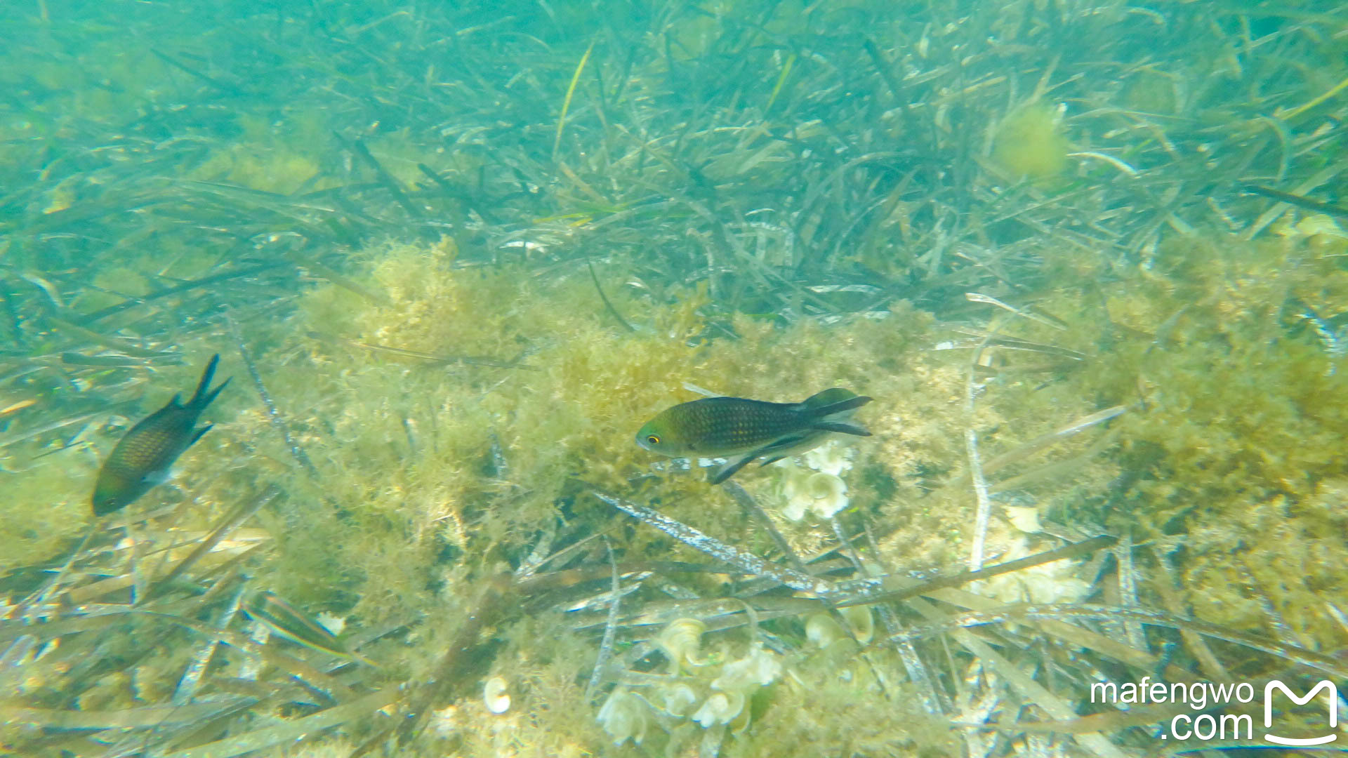 马耳他之旅,马耳他旅游攻略