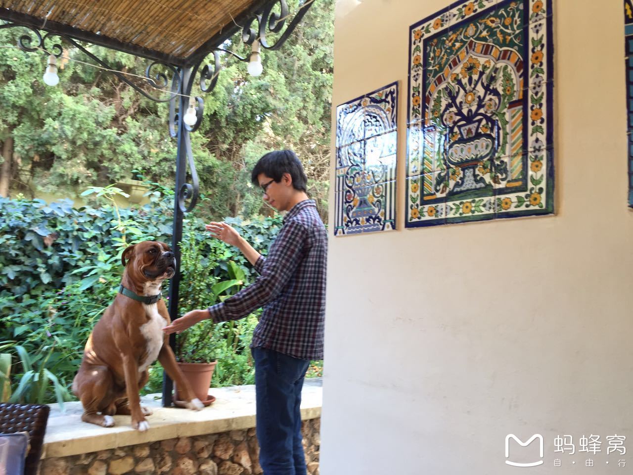 留荷女文青的欧游散记|情迷马耳他(上),马耳