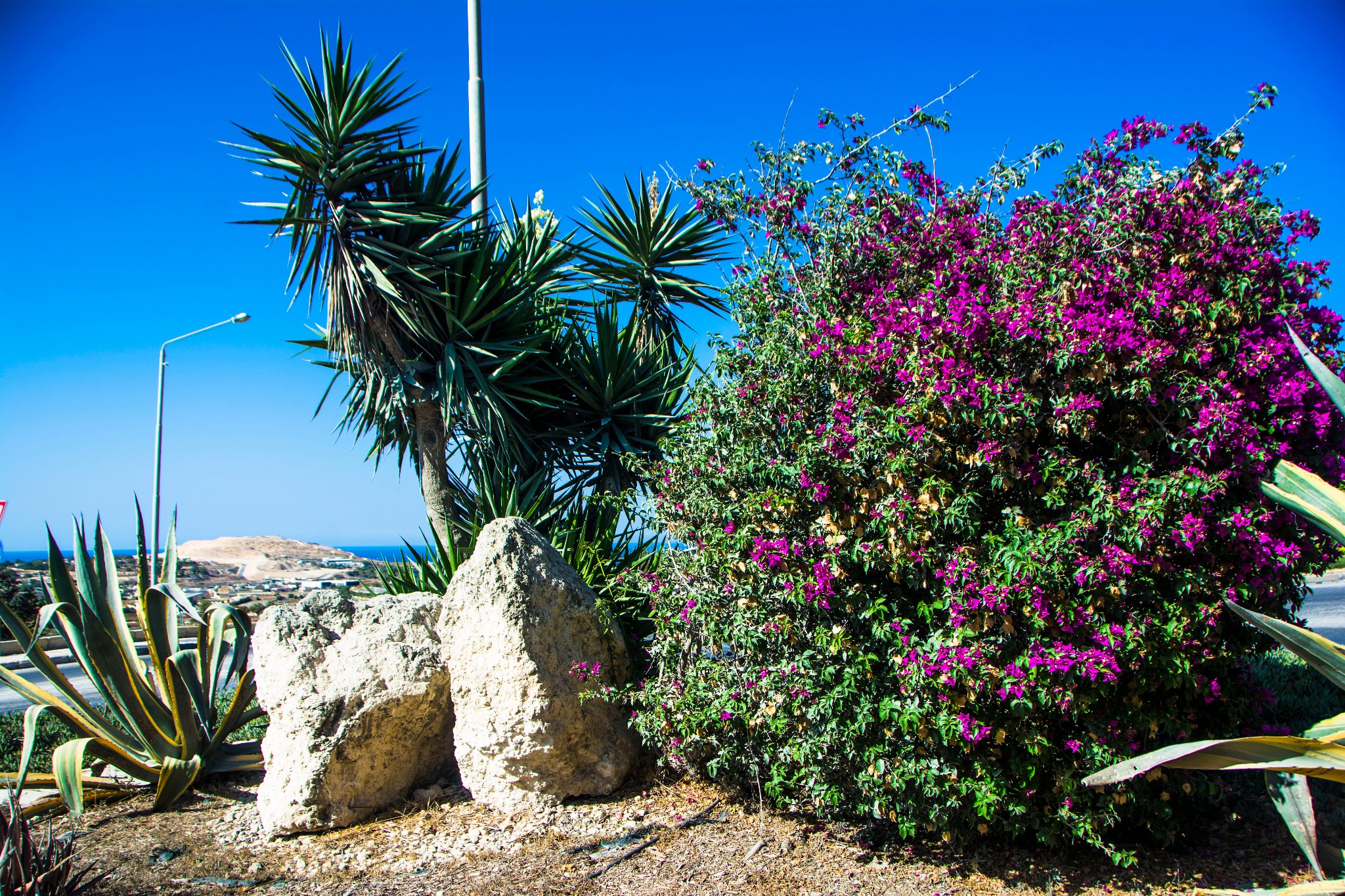 留荷女文青的欧游散记|情迷马耳他(中),马耳