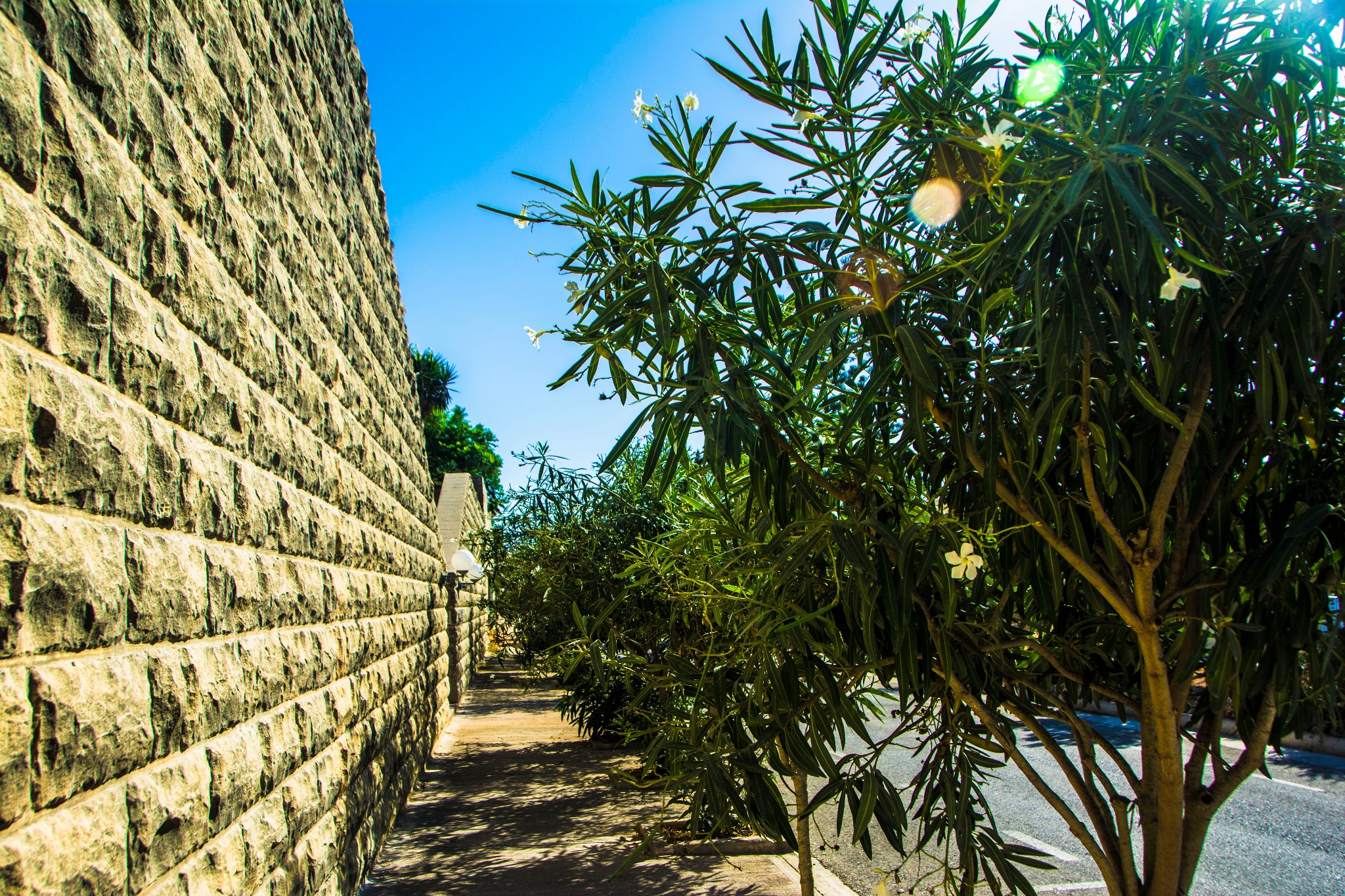 留荷女文青的欧游散记|情迷马耳他(中),马耳