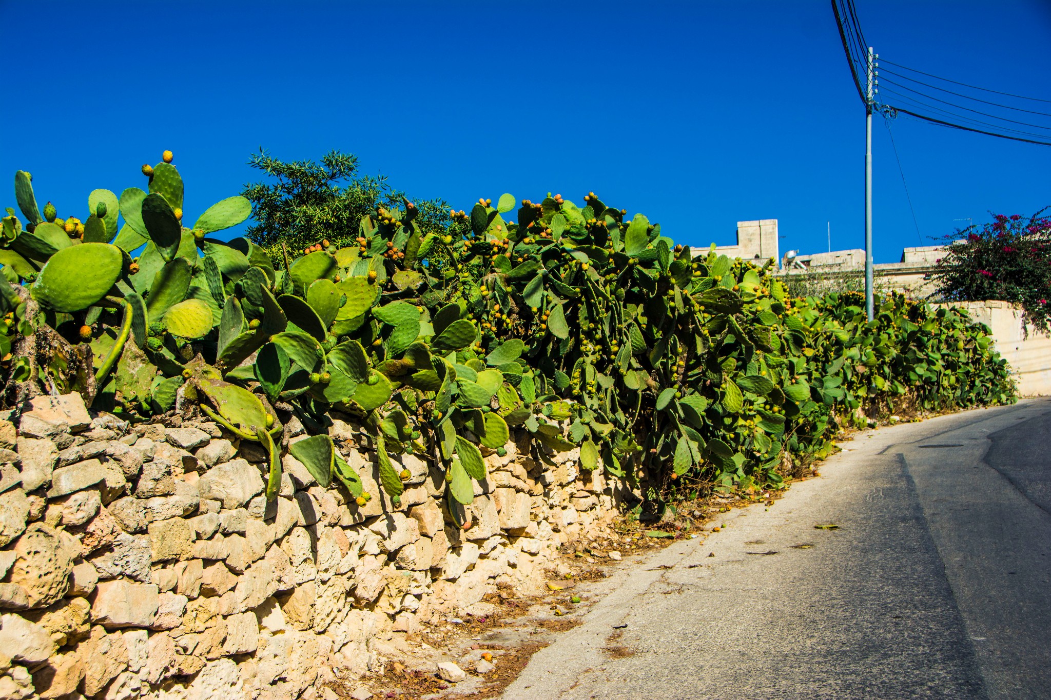留荷女文青的欧游散记|情迷马耳他(中),马耳