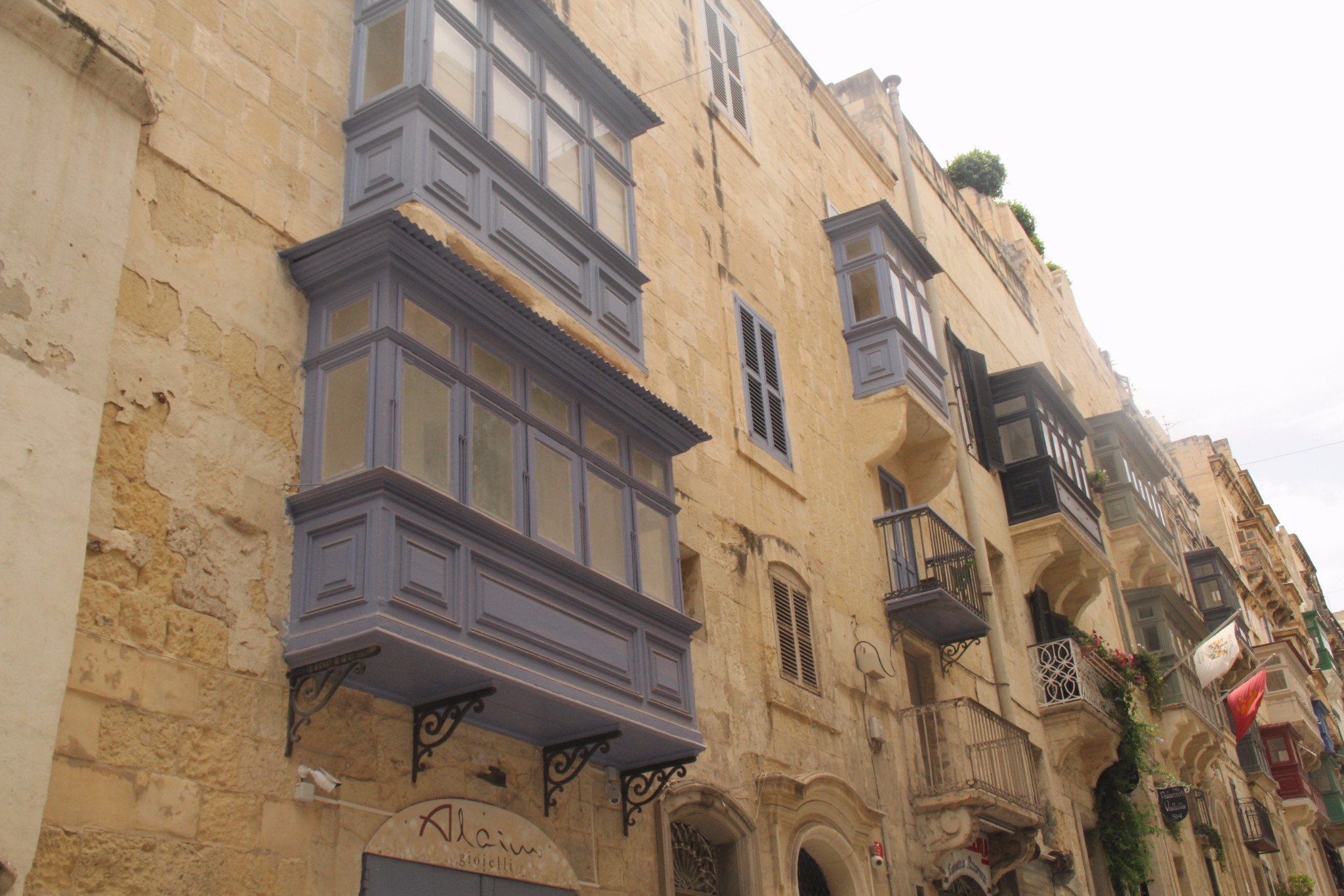 穿梭在古城墙间的壁虎和肆虐于阳光下的仙人掌