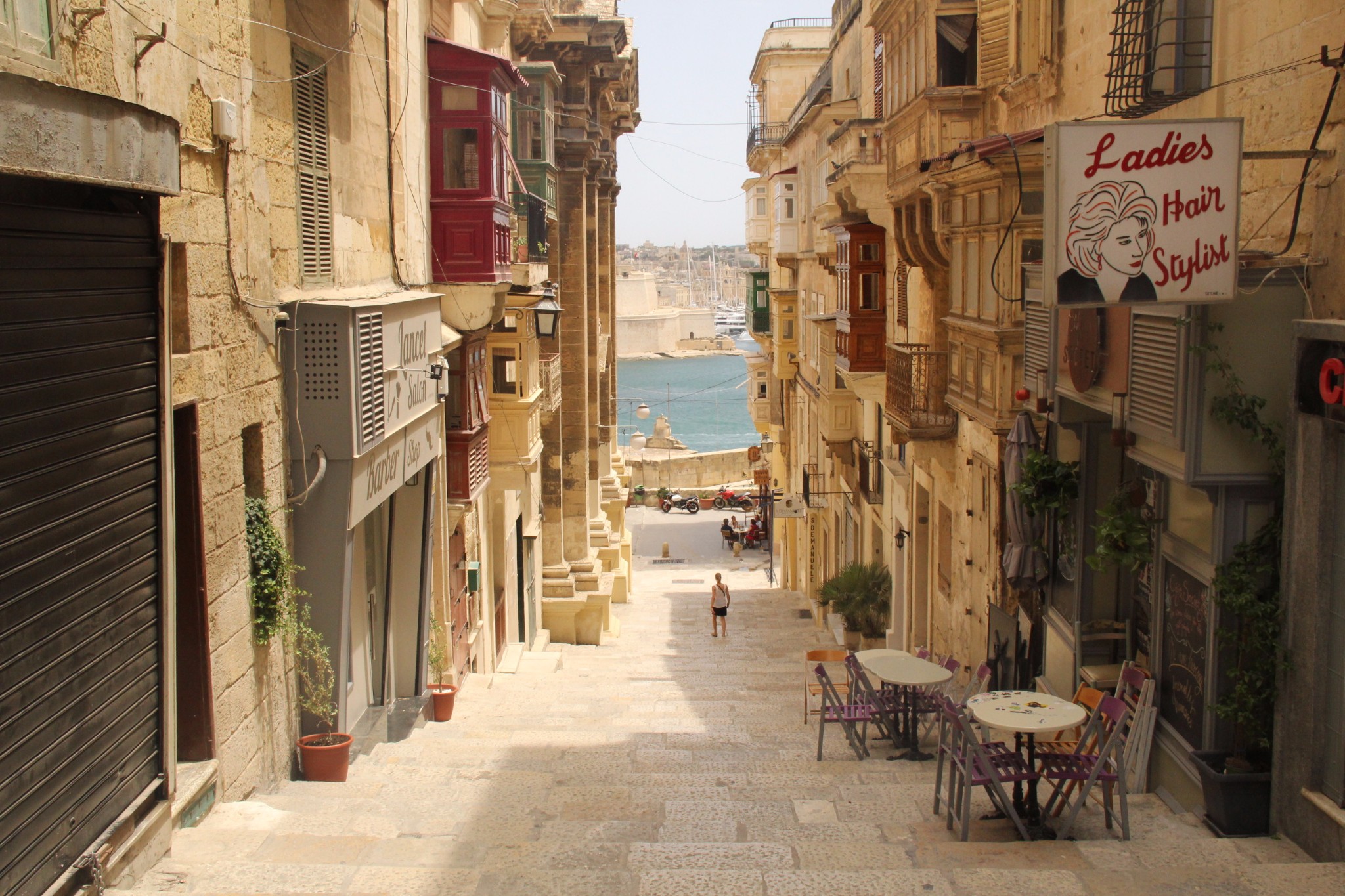 穿梭在古城墙间的壁虎和肆虐于阳光下的仙人掌