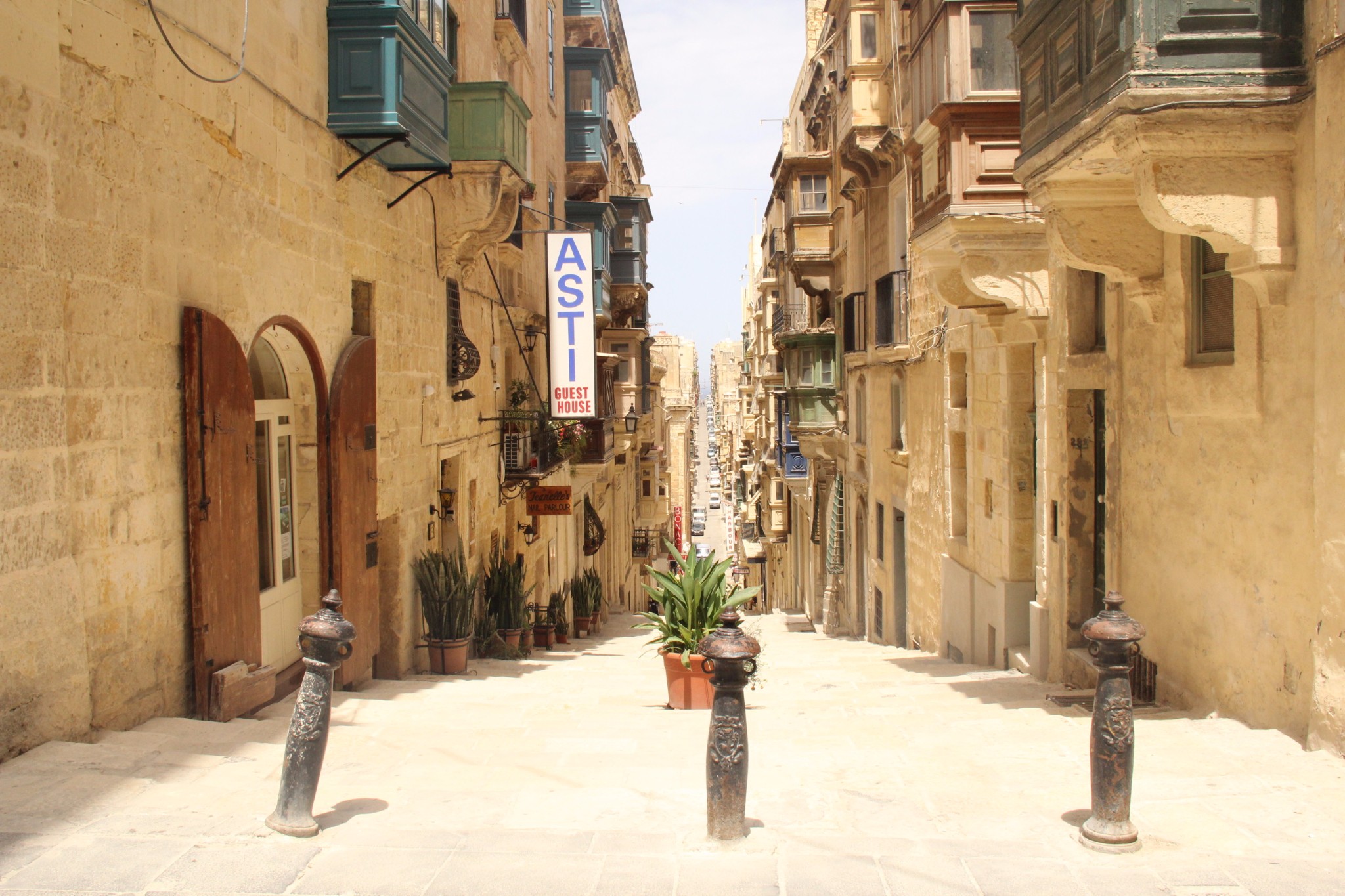 穿梭在古城墙间的壁虎和肆虐于阳光下的仙人掌